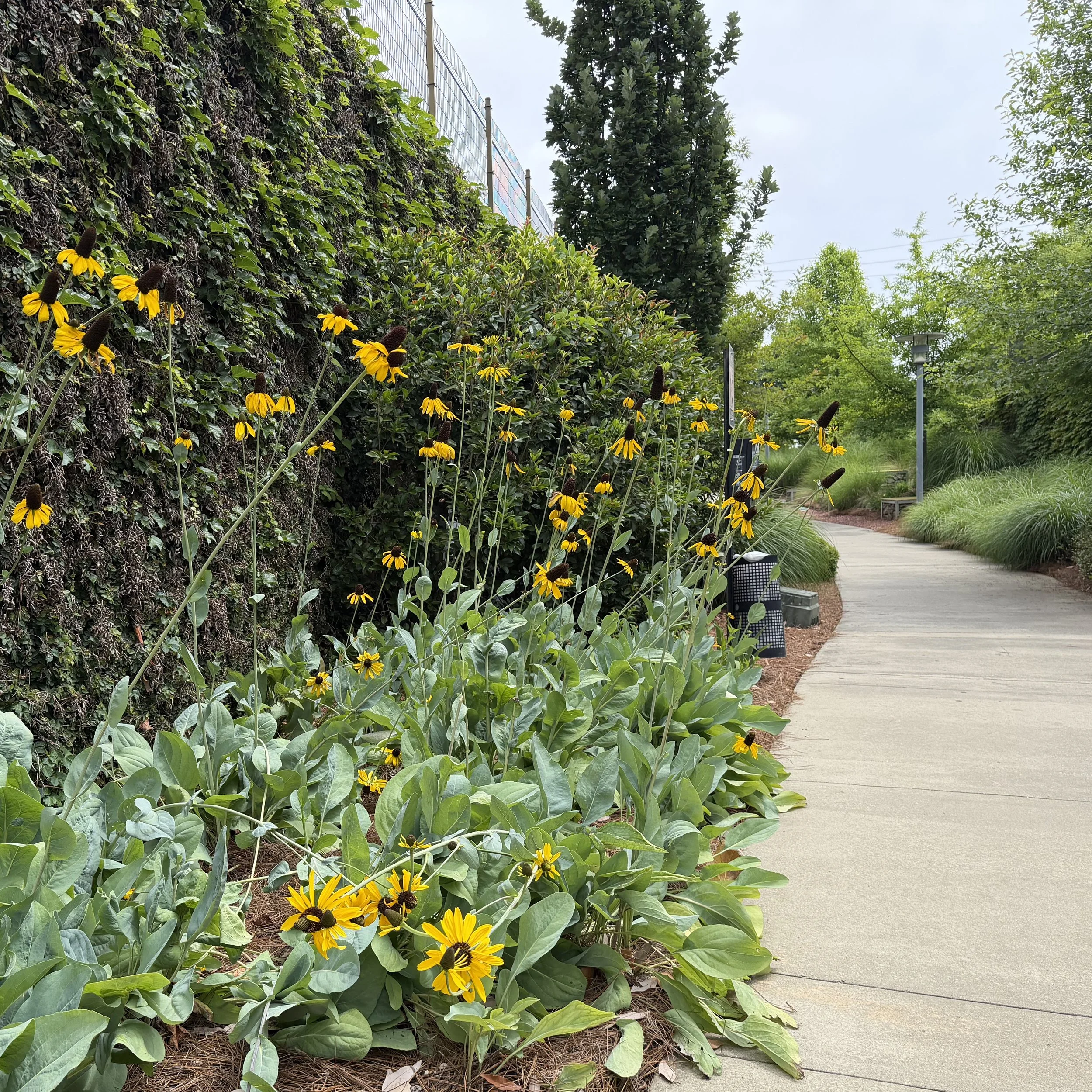Rotary Club of Birmingham Completes Special Projects to Commemorate Rotary Trail’s 10th AnnIVERSARY