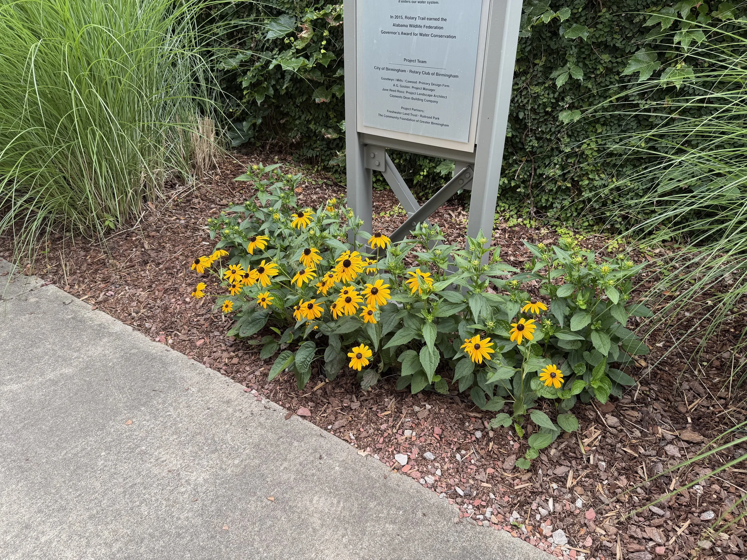 IMG_0160.jpeg