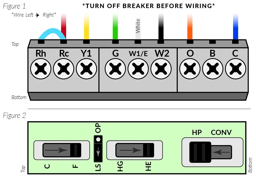 Back of the Final Printed Piece