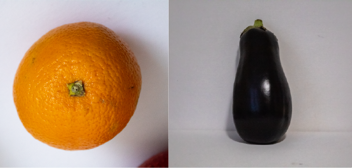 Photos of fruit used to create the posters
