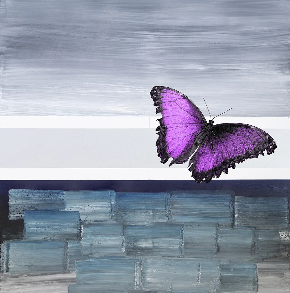 Fly Away — Purple