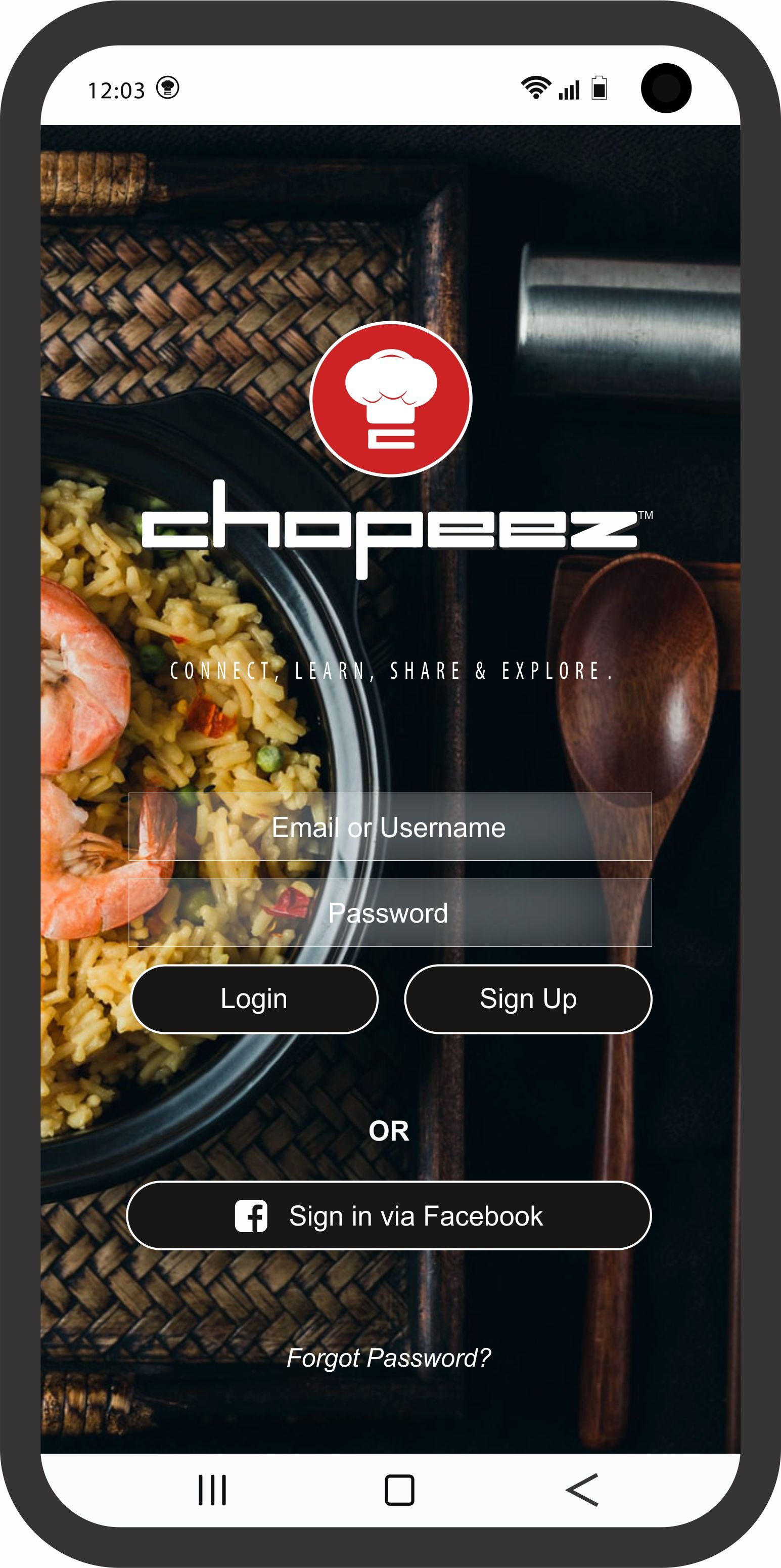 Login Screen