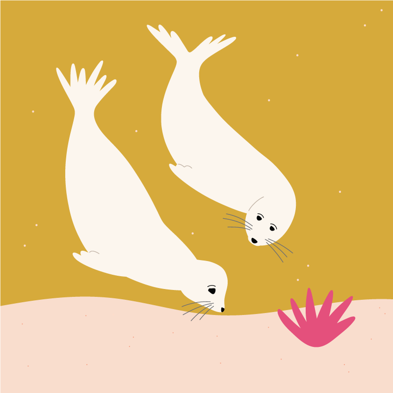 Seals.png