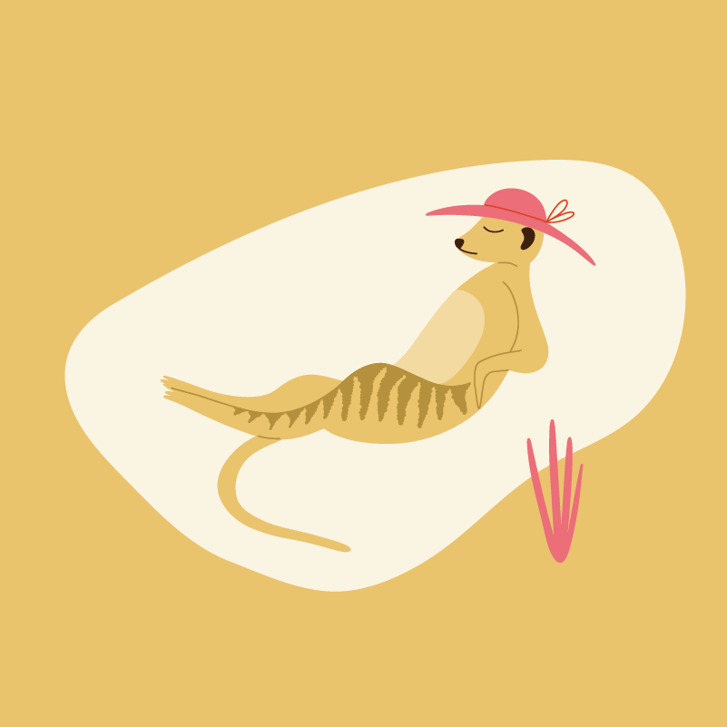 Meerkat1.png