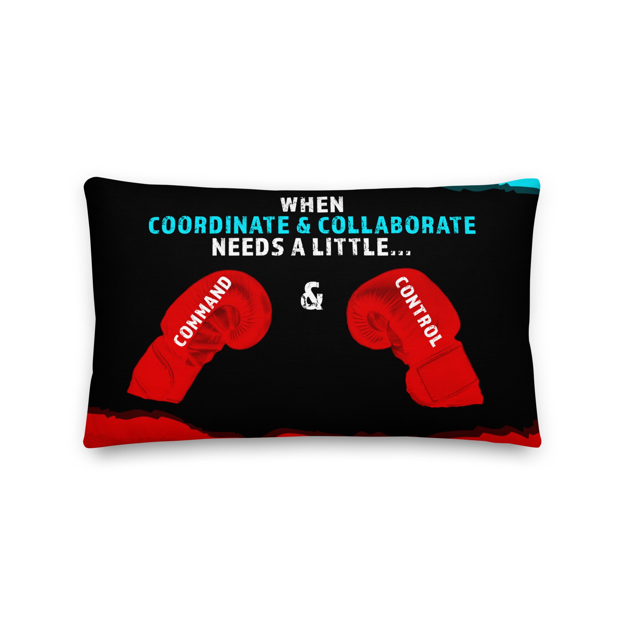 all-over-print-premium-pillow-20x12-front-646241101832d.jpg