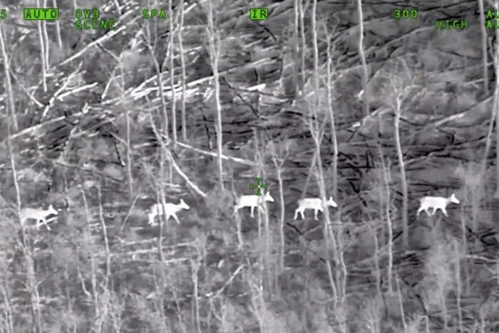 owyhee_air_research_-_mx-10-ir-deer-card.png