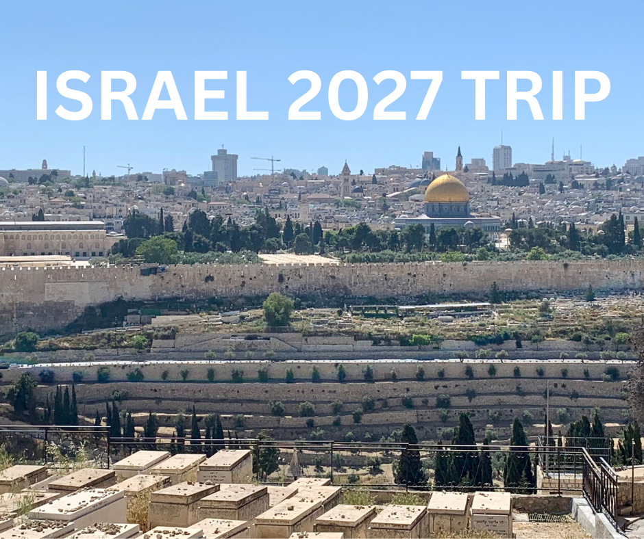 Israel 2027  website.png