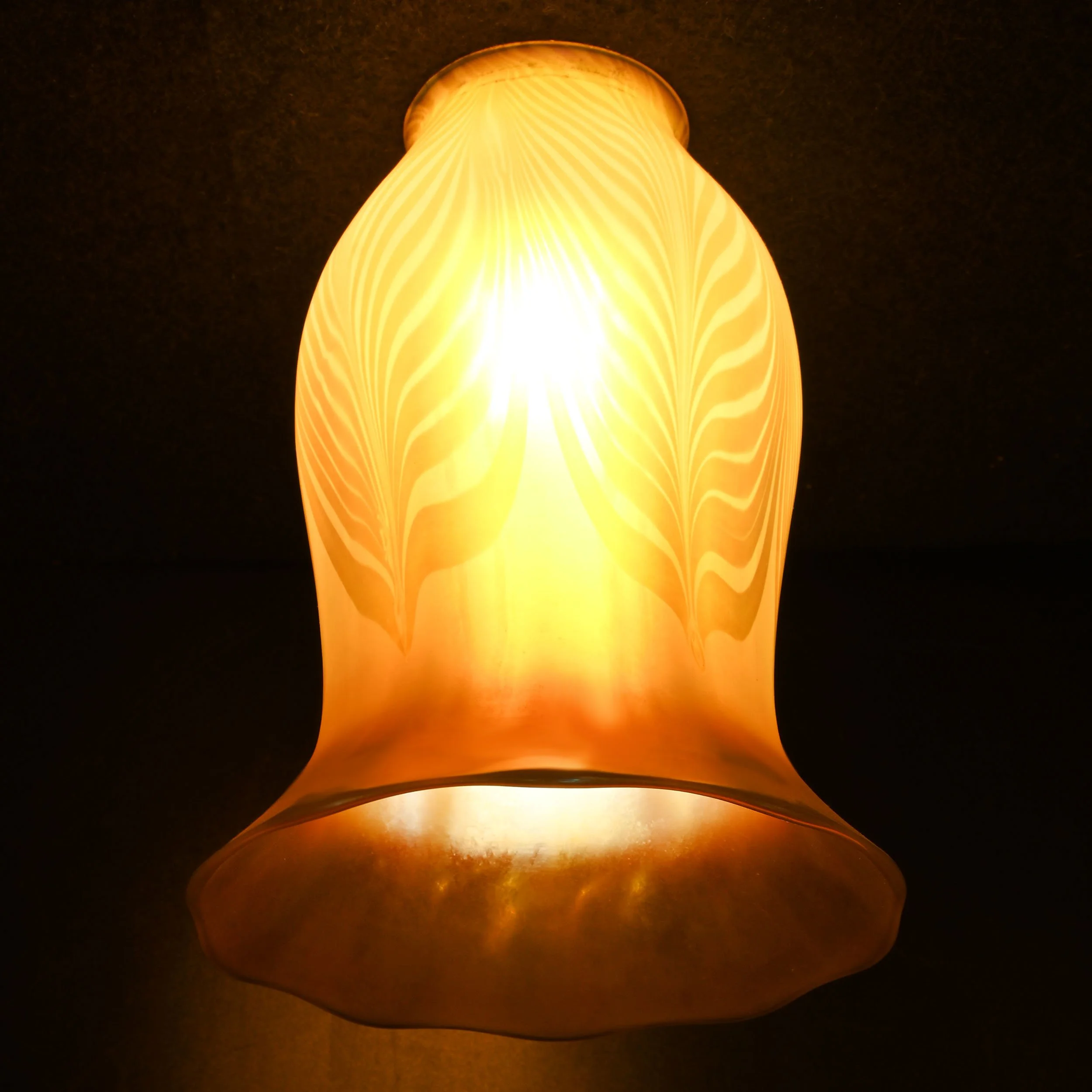 S61307 large aurene and calcite pulled feather quezal shade 2.jpg
