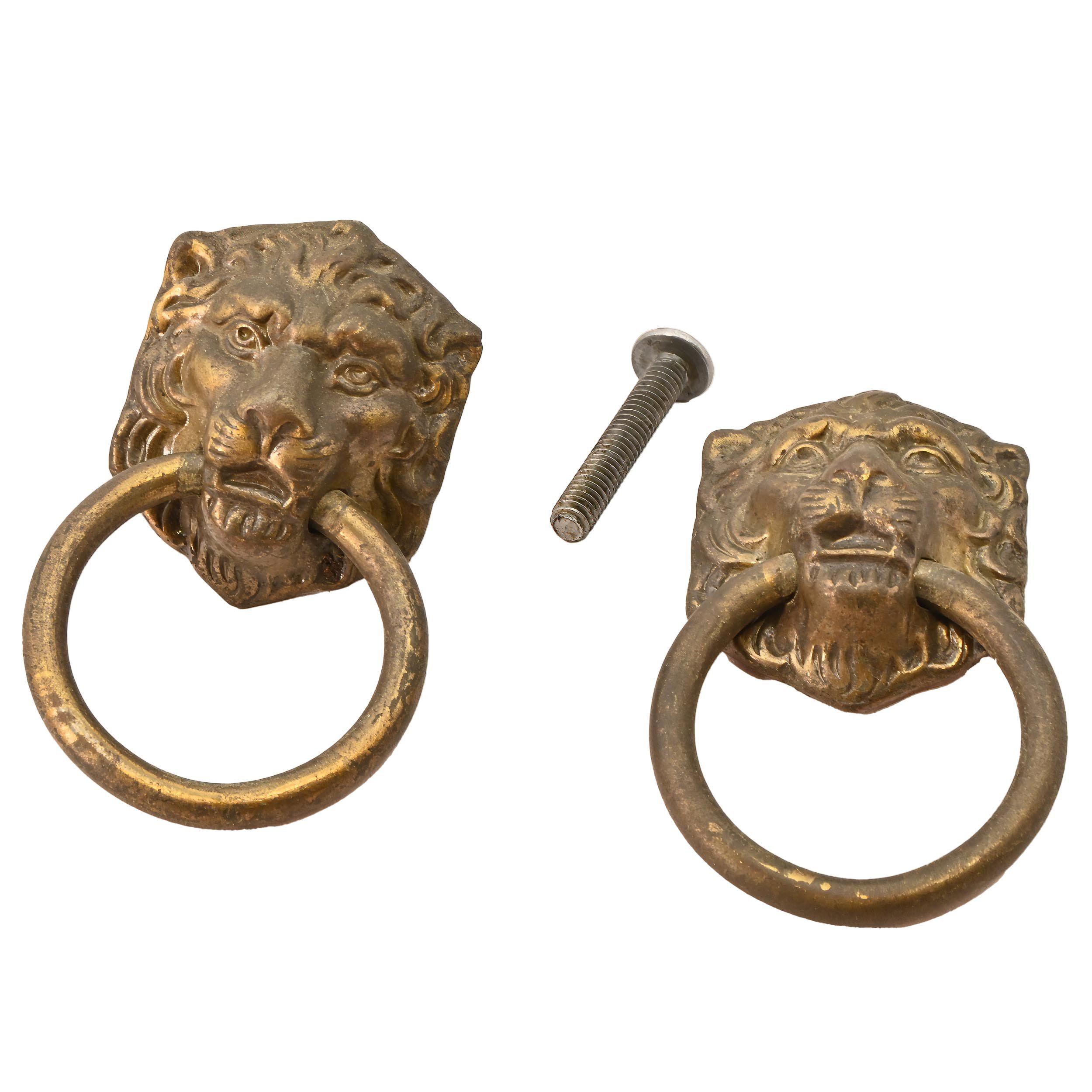 27118 brass lion pulls set of 4 2.jpg