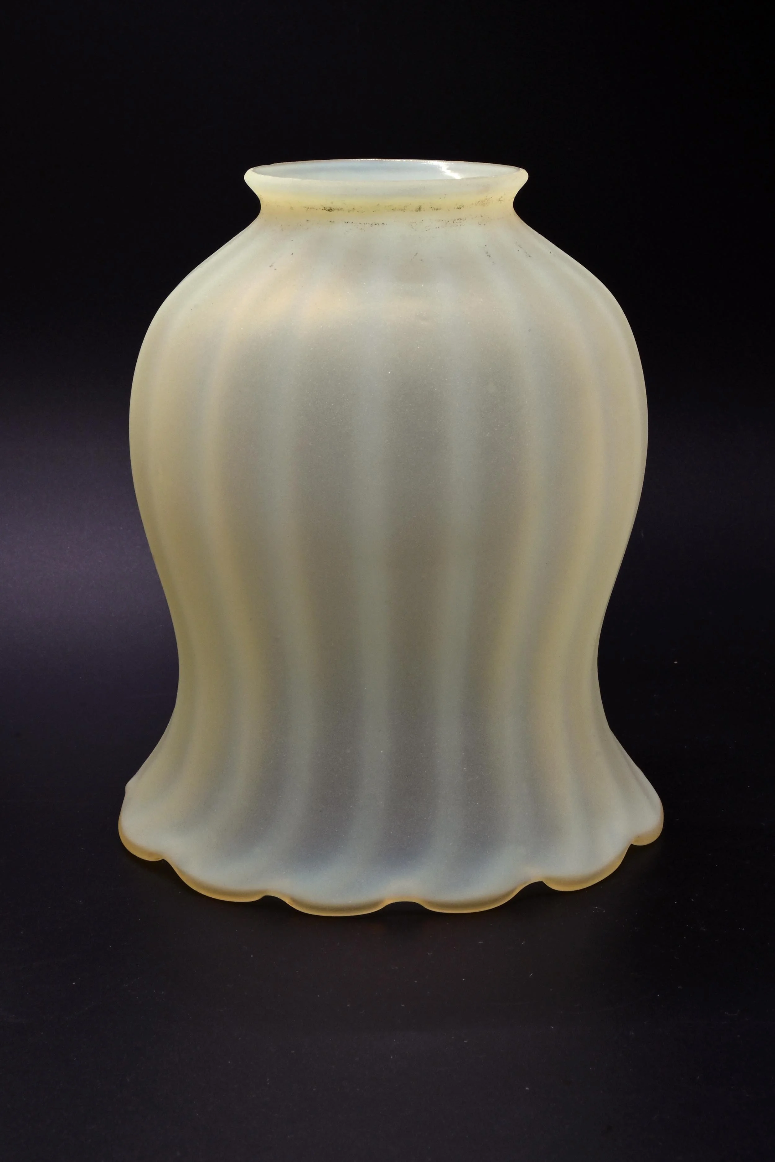 S1073-Tiffany-Tulip-Shade+2.jpg