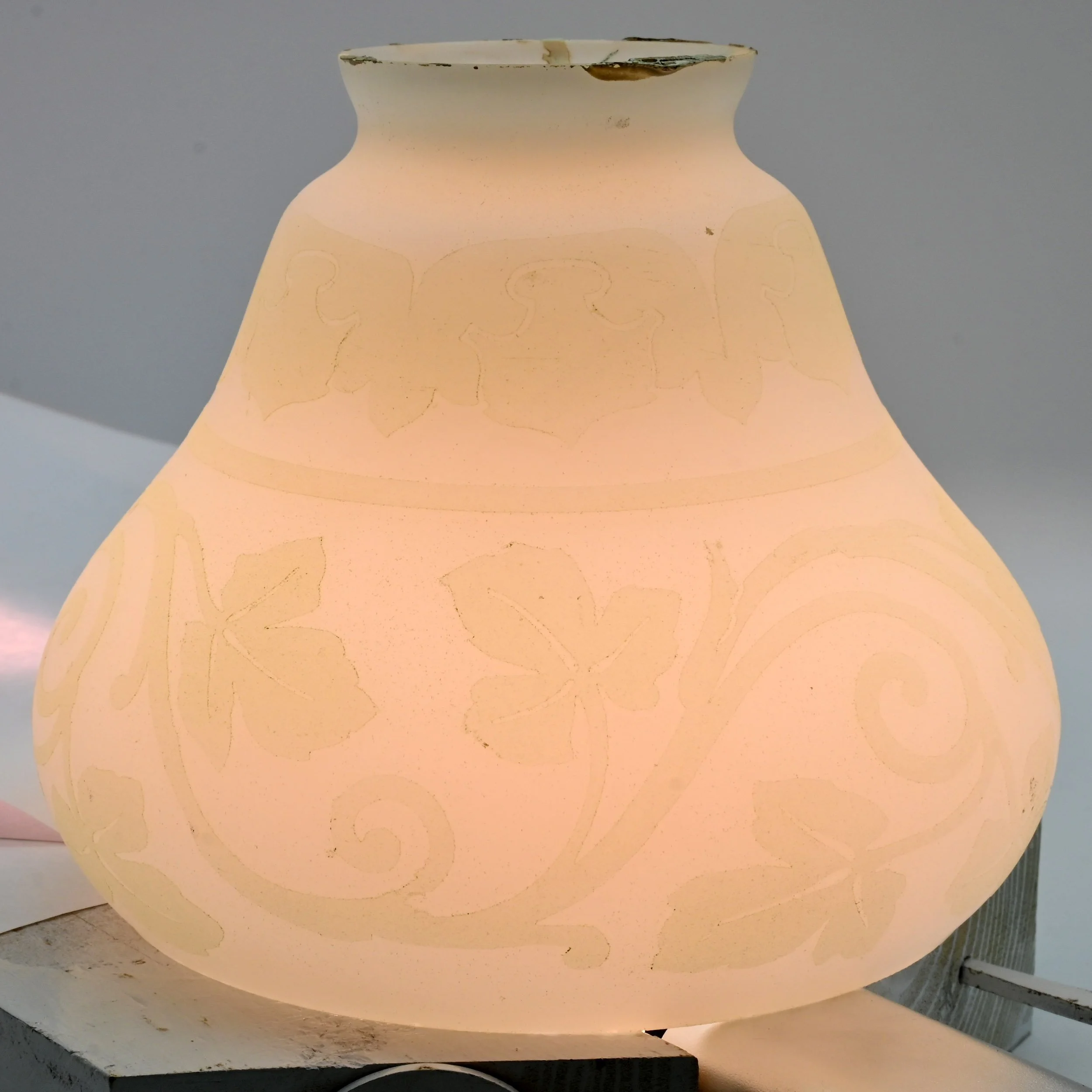 S62166+frosted+shades+with+green+leaf+detail+2.jpg