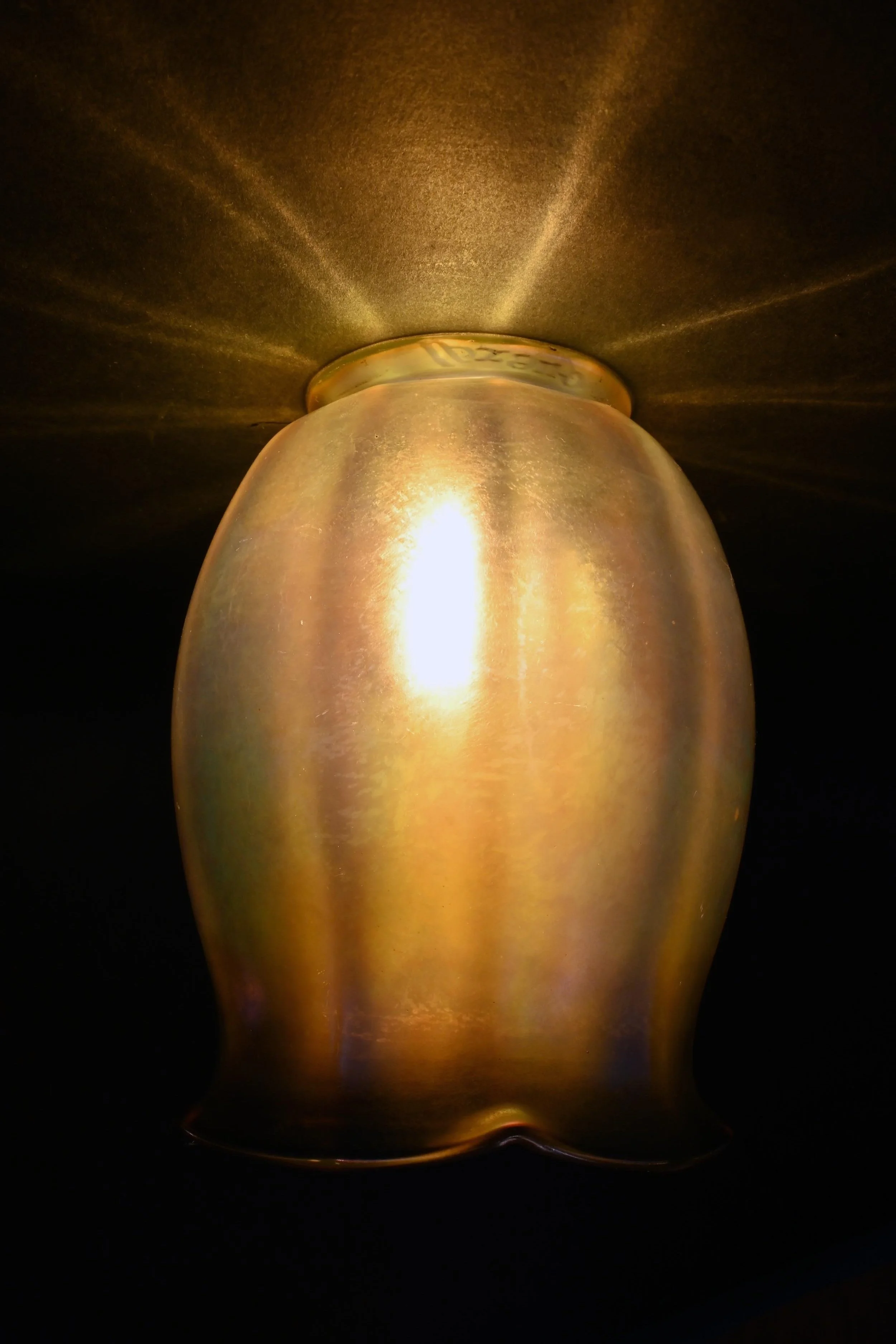 61693%2Bquezal%2Bpair%2Btulip%2B3.jpg