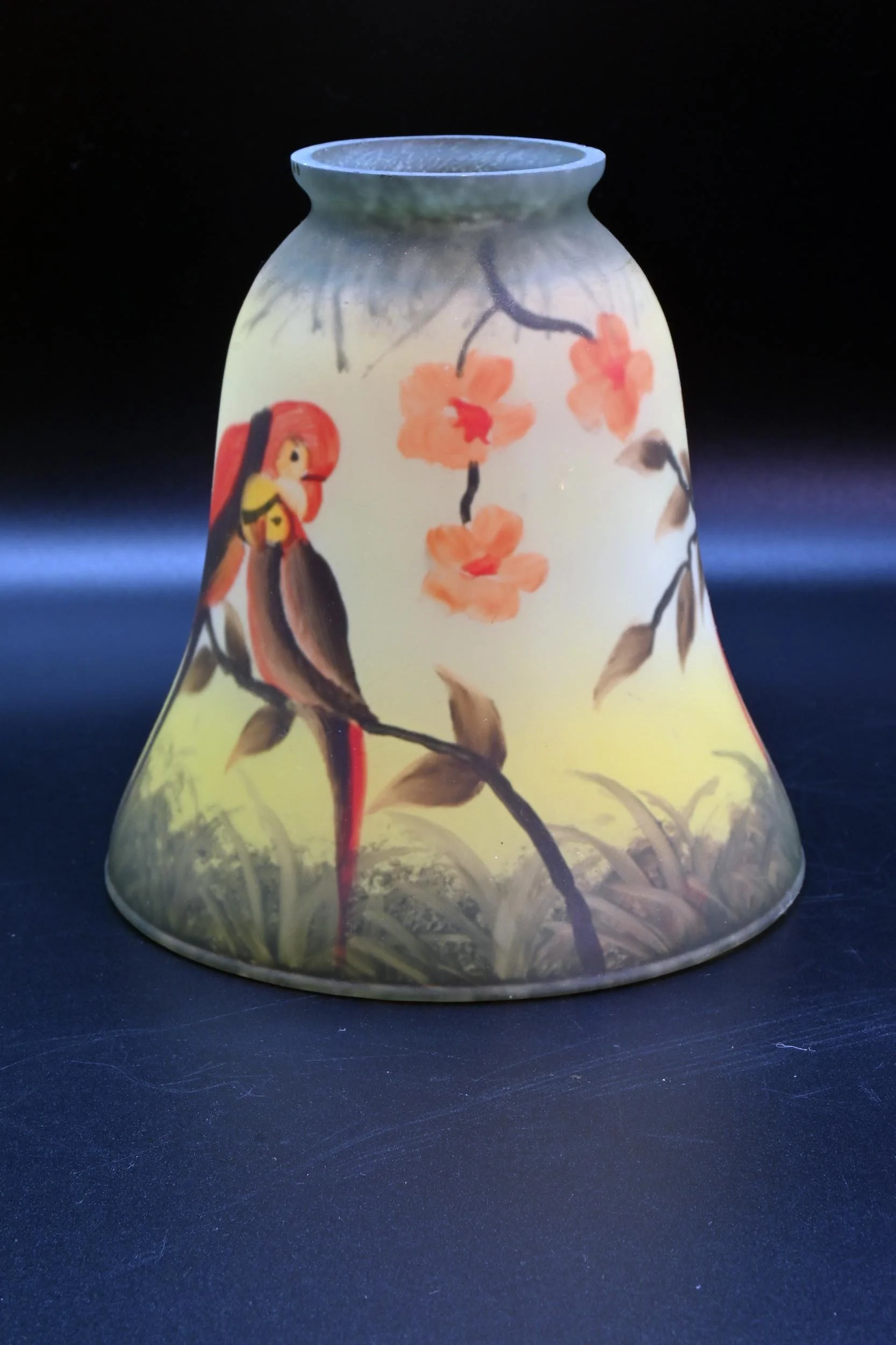 S62492+Parrot+shades+1.jpg