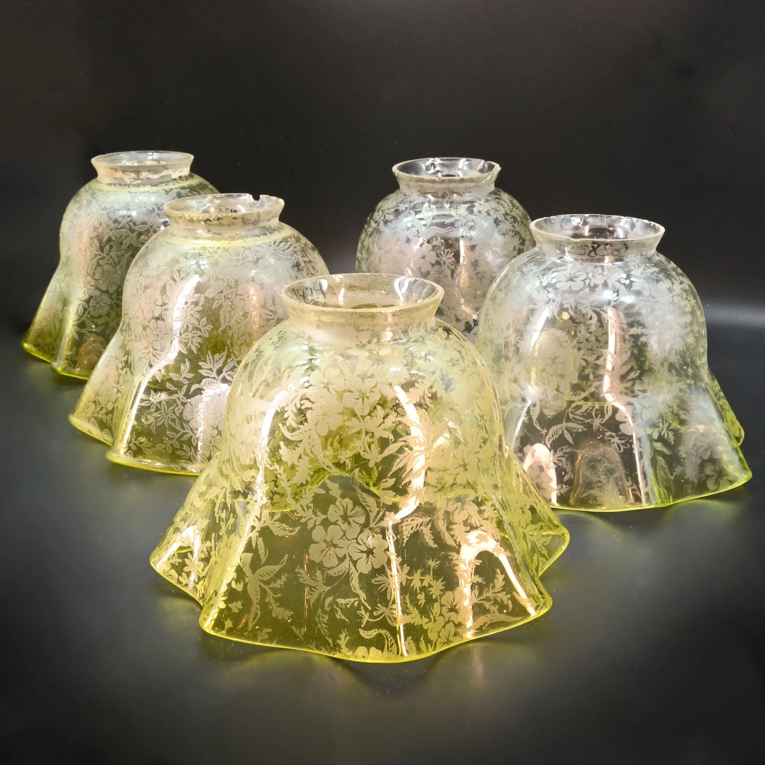 S62829+lime+green+ombre+floral+etched+shades+1.jpg