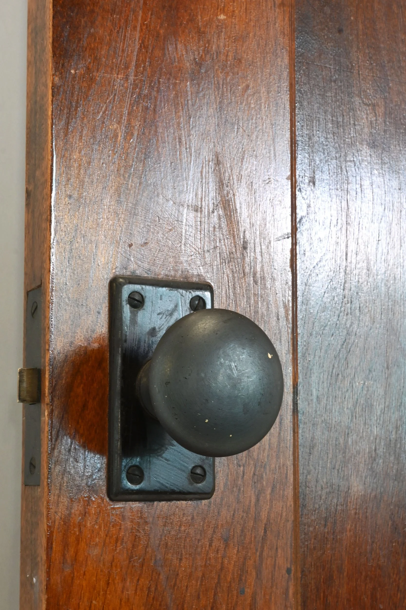 24459+narrow+dark+walnut+single+panel+door+84.5+x+23.75+4.jpg