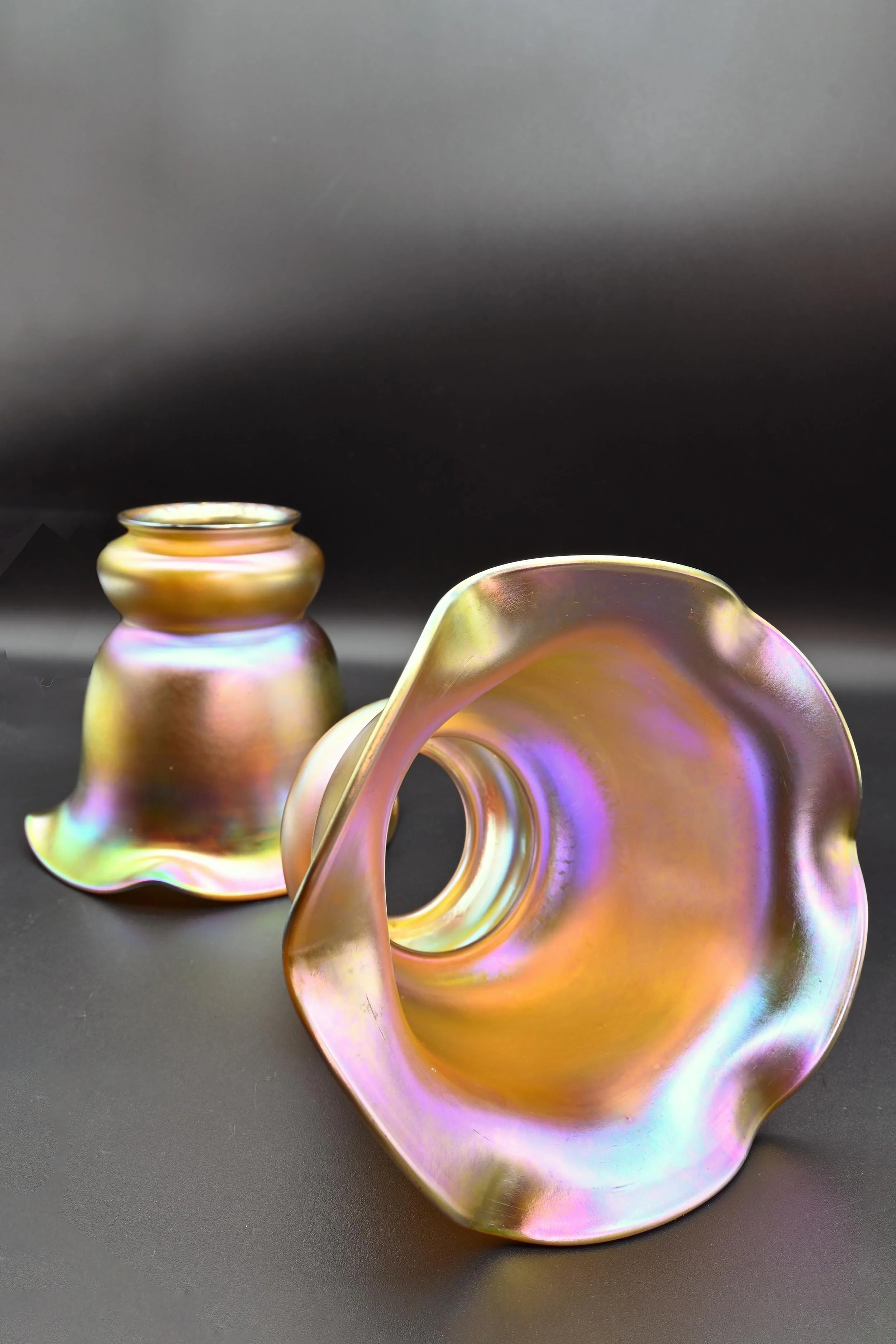 S61047+quezal+ribbon+1.jpg