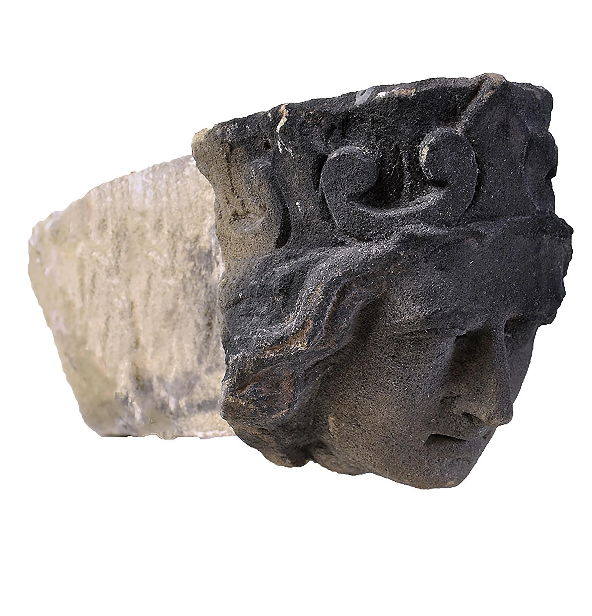 27423-heads-D3.jpg