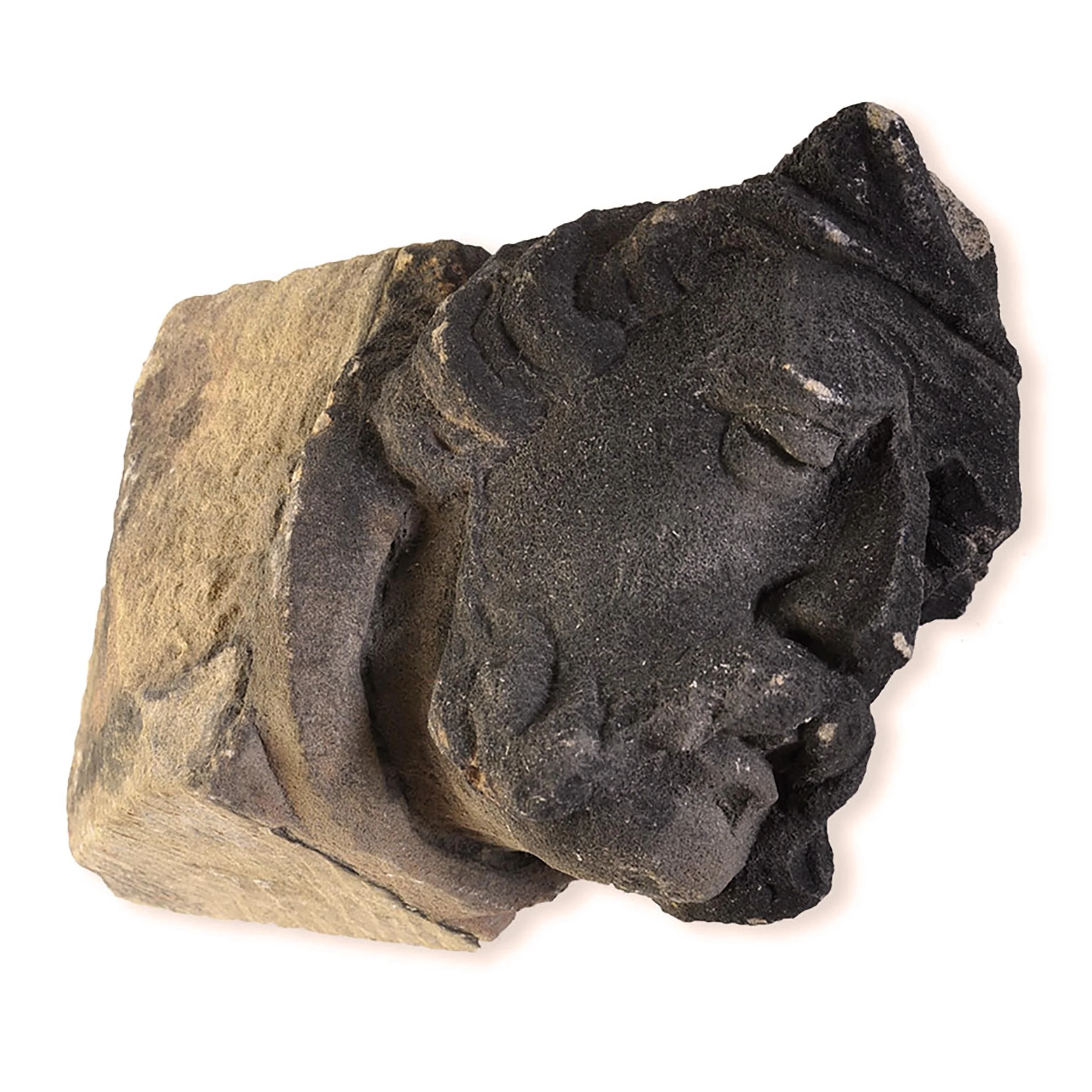 27423-heads-B3.jpg