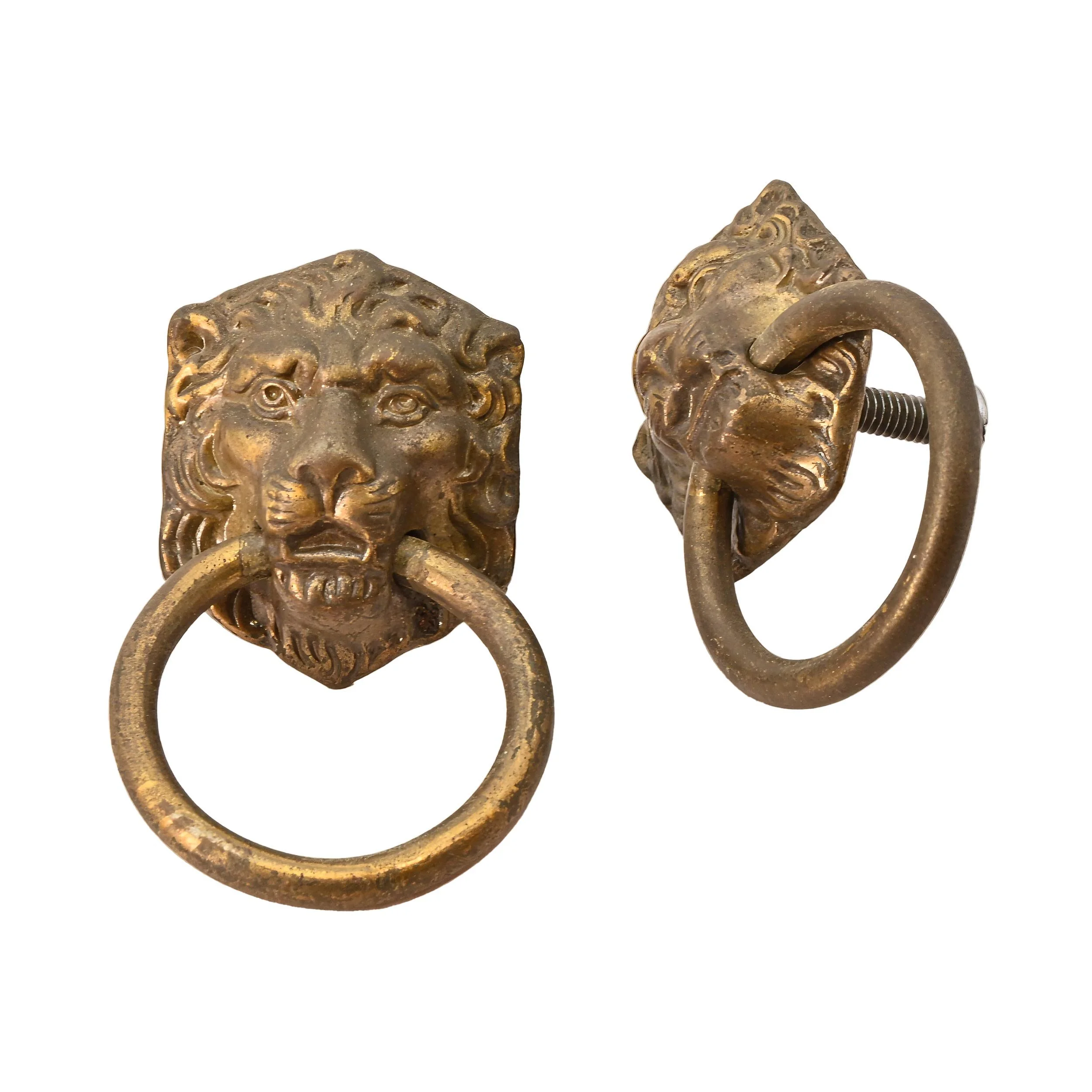 27118 brass lion pulls set of 4 1.jpg