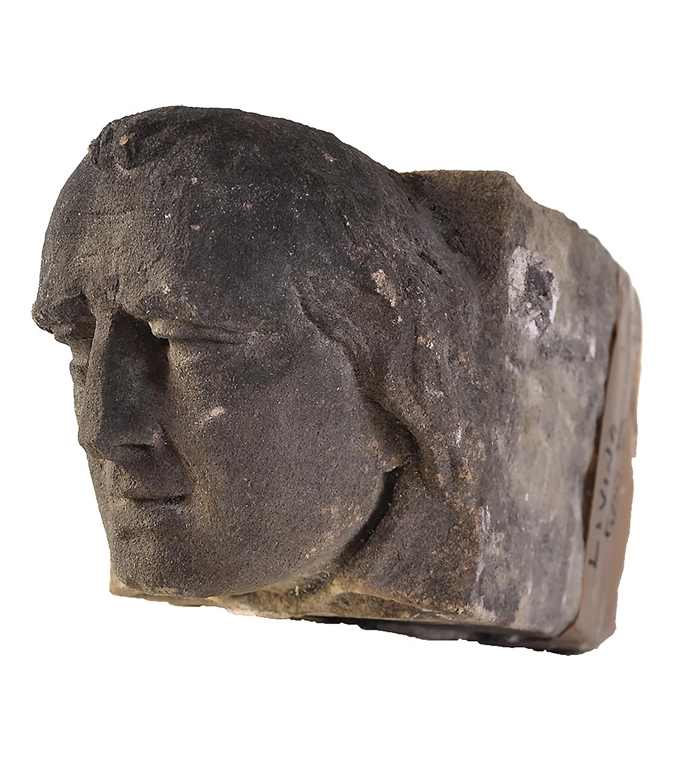 27423-heads-C2.jpg