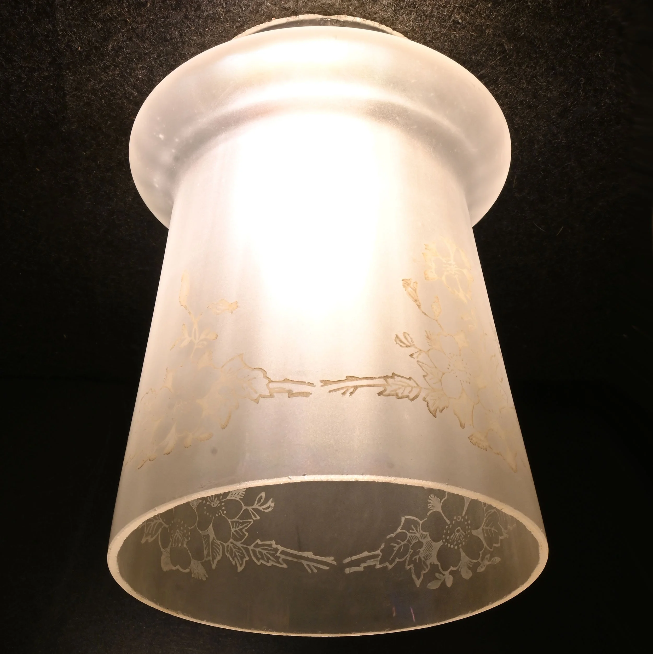 27353 iridescent hand etched shade with floral design 3.jpg