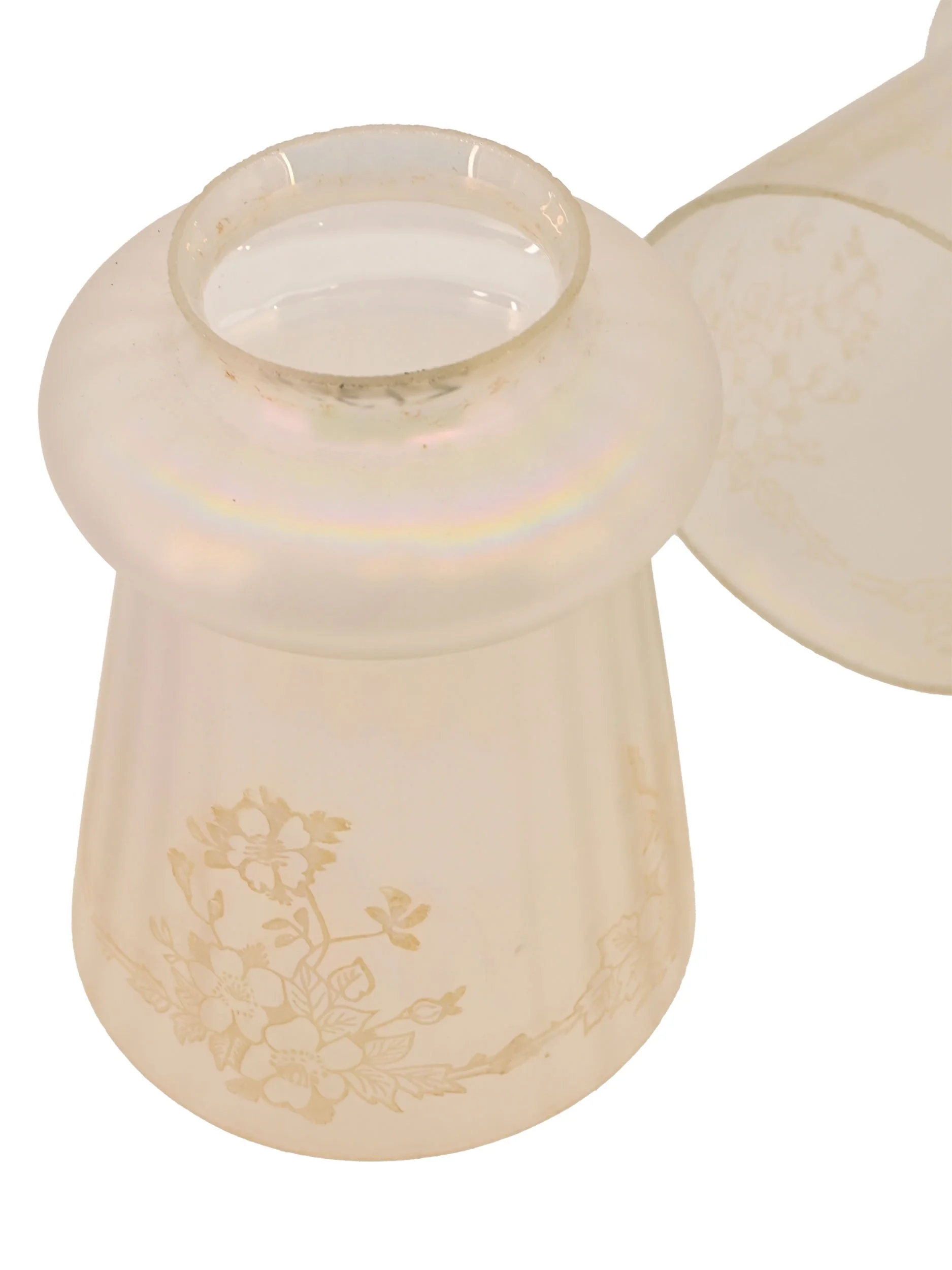 27353 iridescent hand etched shade with floral design 4.jpg