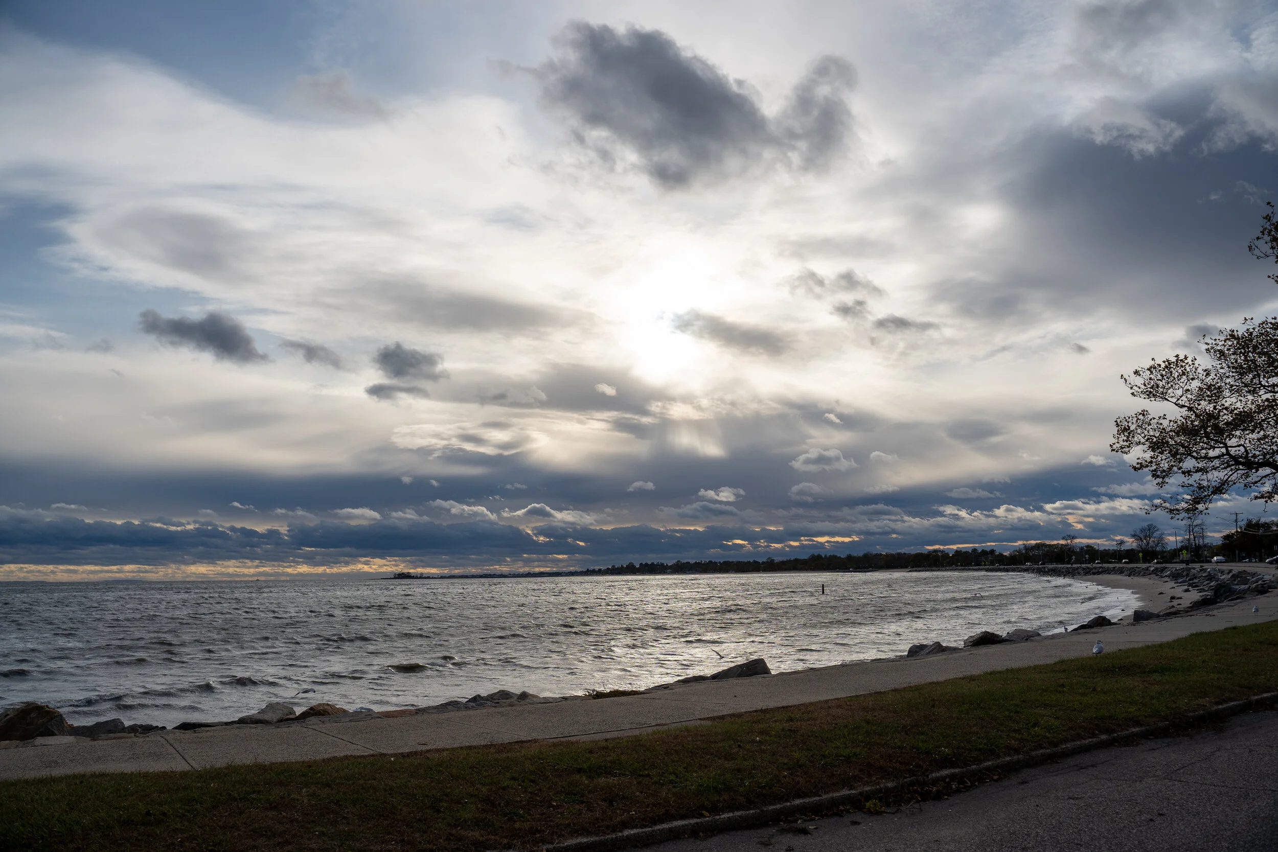 DSC01053.jpg