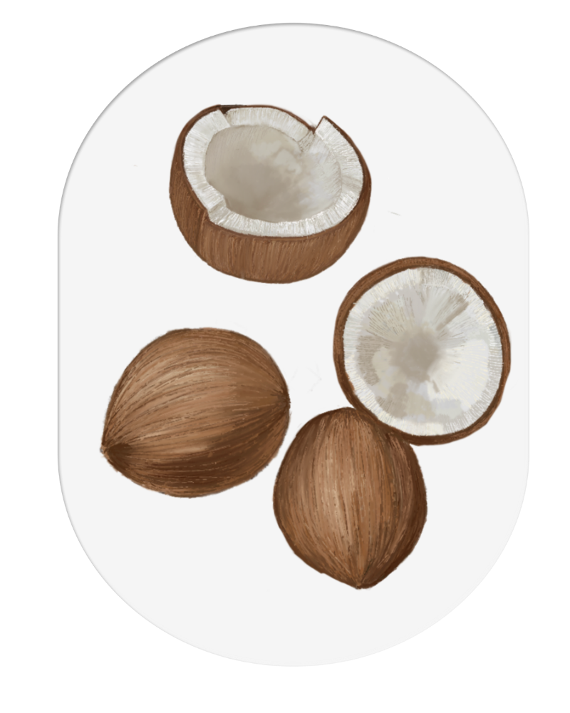 Four coconuts, two of which are shelled showing the white nut inside, on a black oval plate.