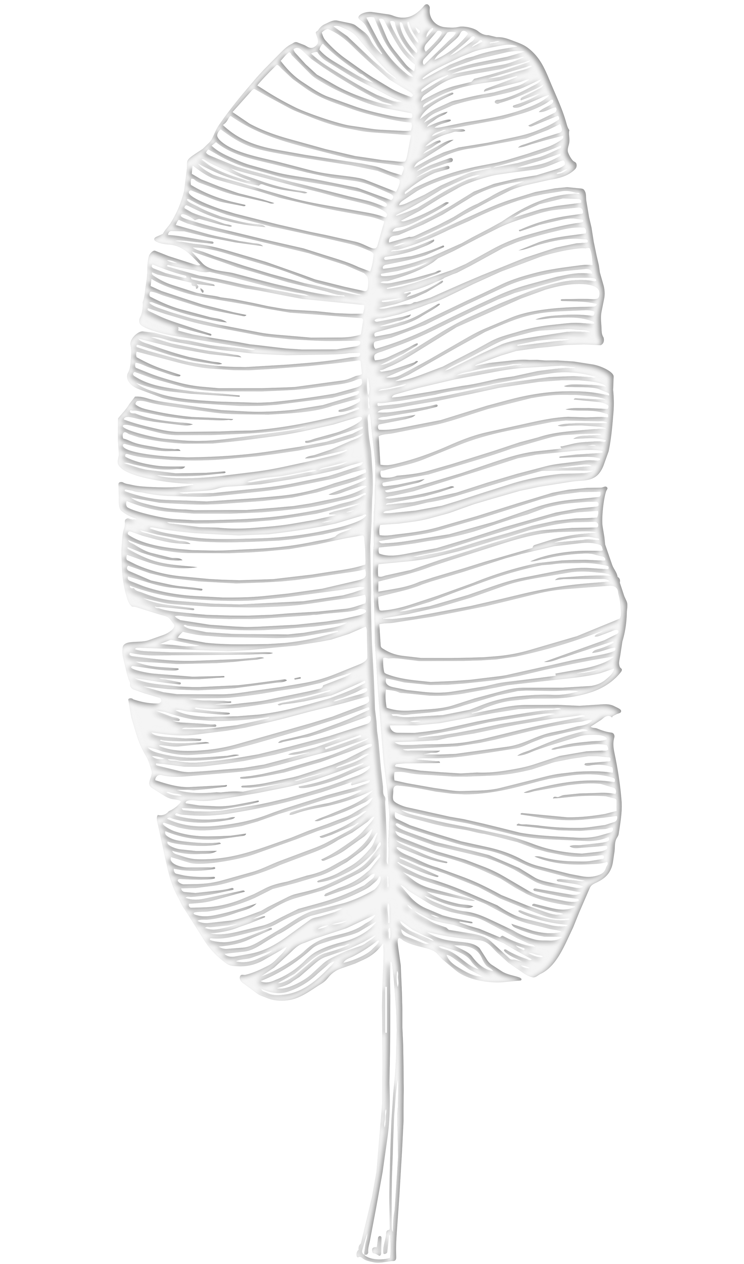 A black and white digital illustration of a leaf with detailed vein structures, divided into alternating black and white sections.