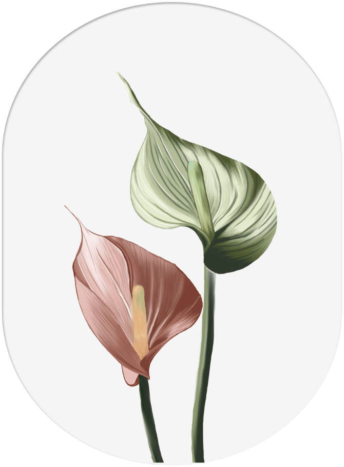 Two calla lily flowers, one pink and one green, against a black background.