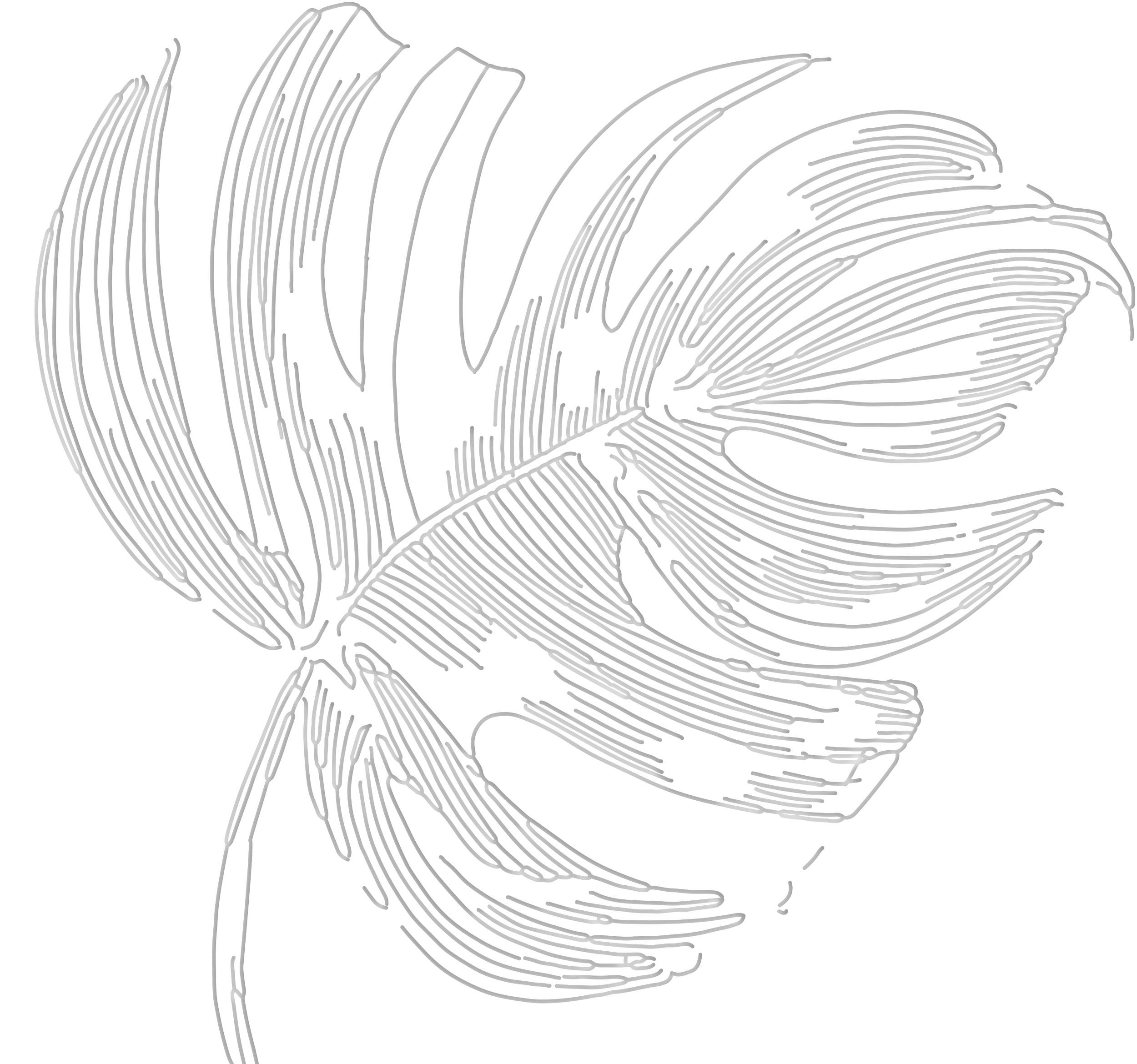 Line art depiction of a tumbler of whiskey, a glass of wine, a cocktail glass, and a beer mug.