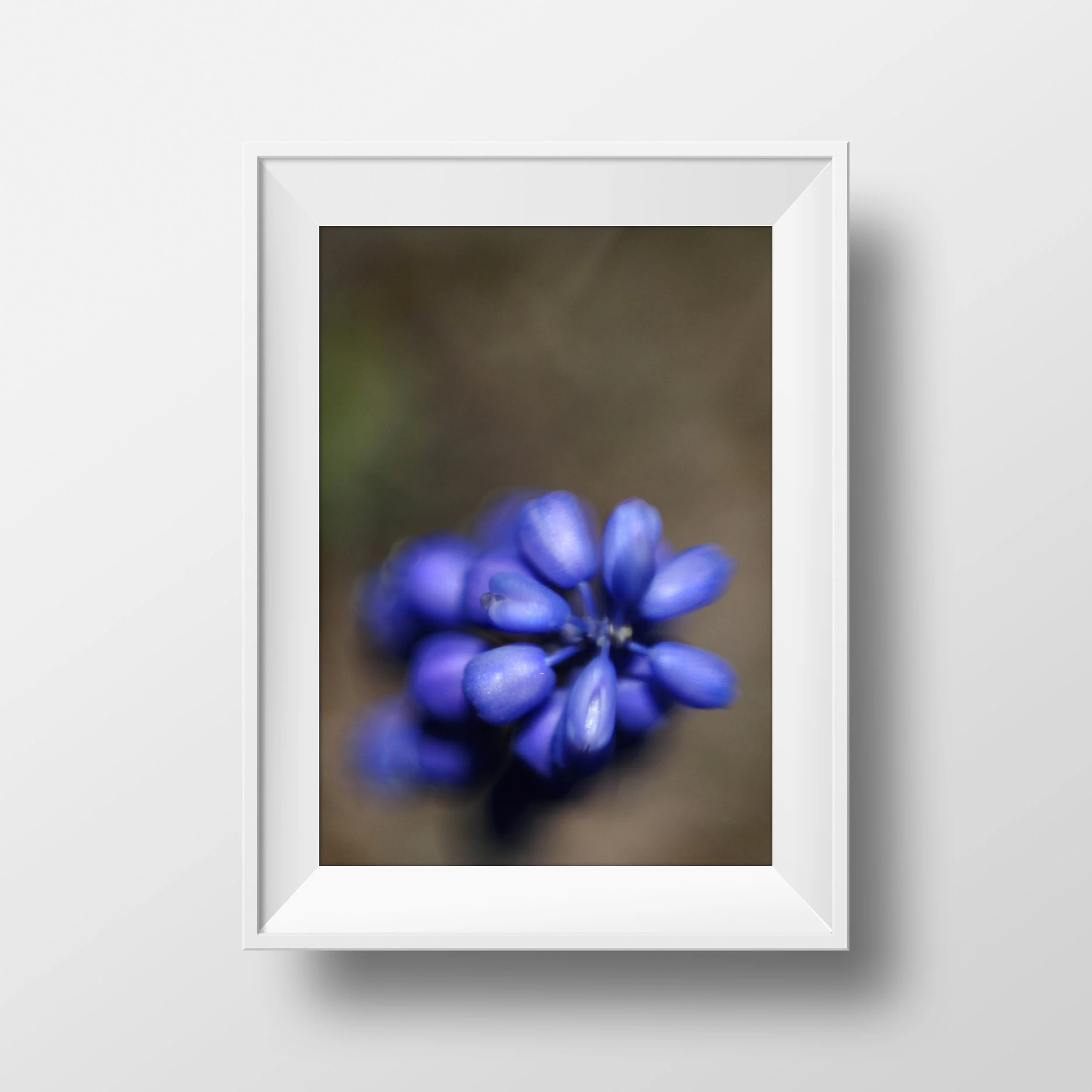 Li_Gao_Floral_Macro_3-vertical-white-frame.jpg