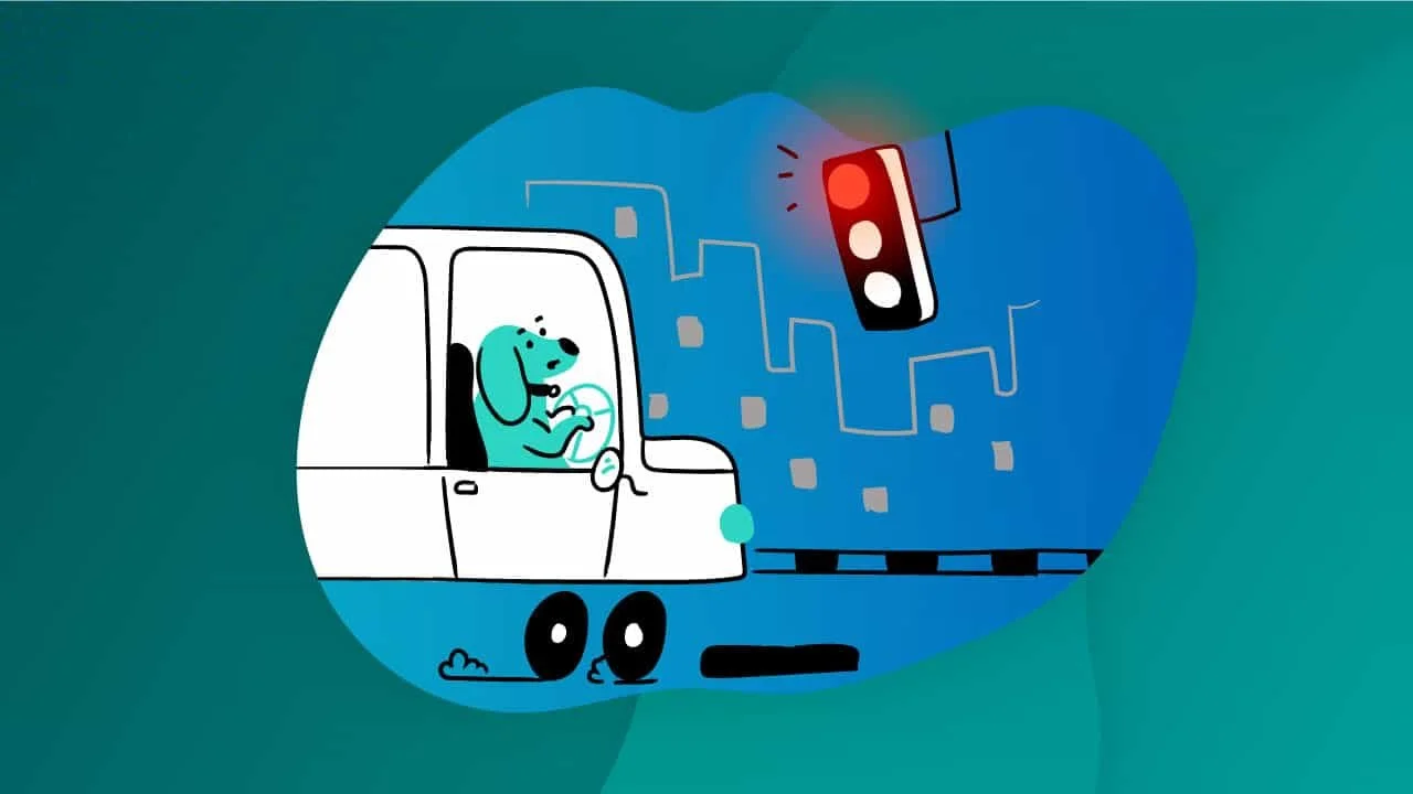 Foto graciosa de un perro manejando, todo preocupado.