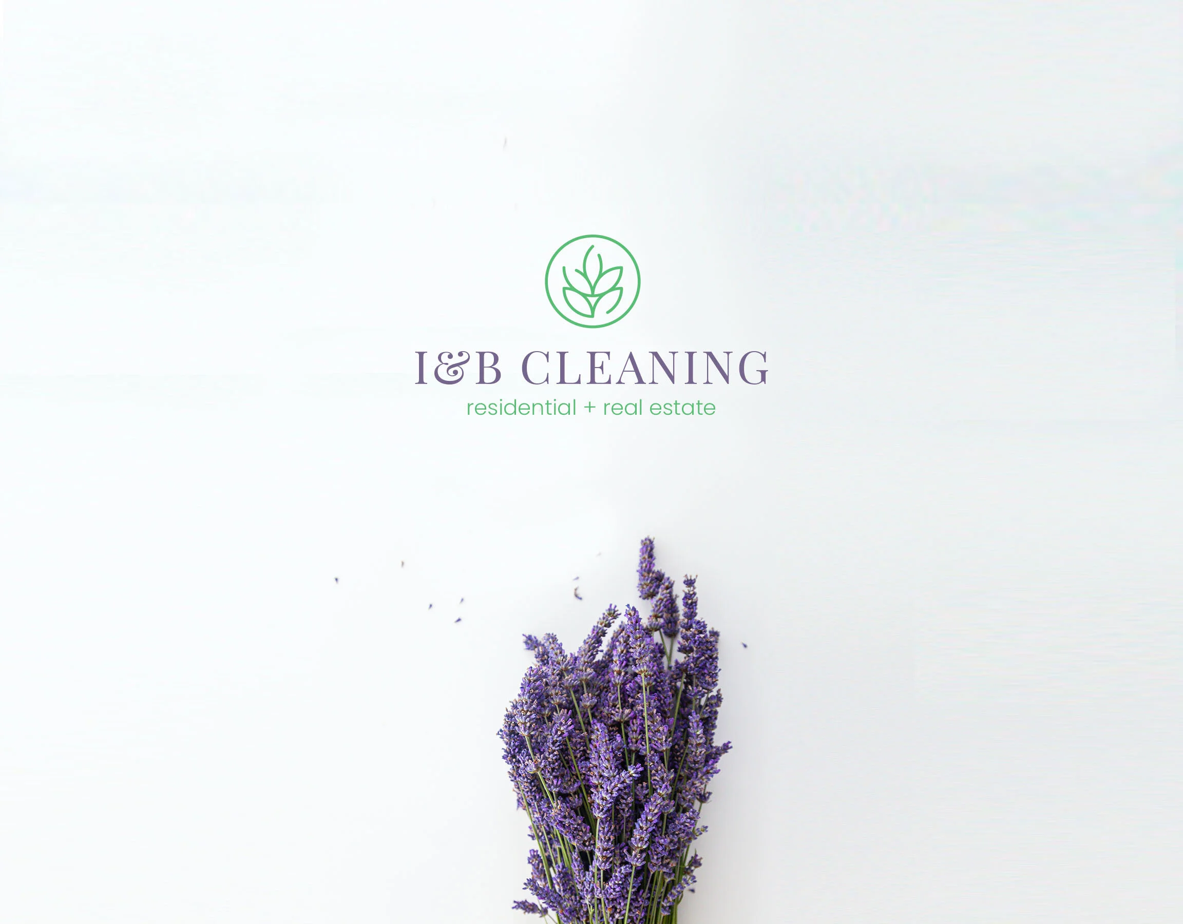 ib cleaning services.jpg