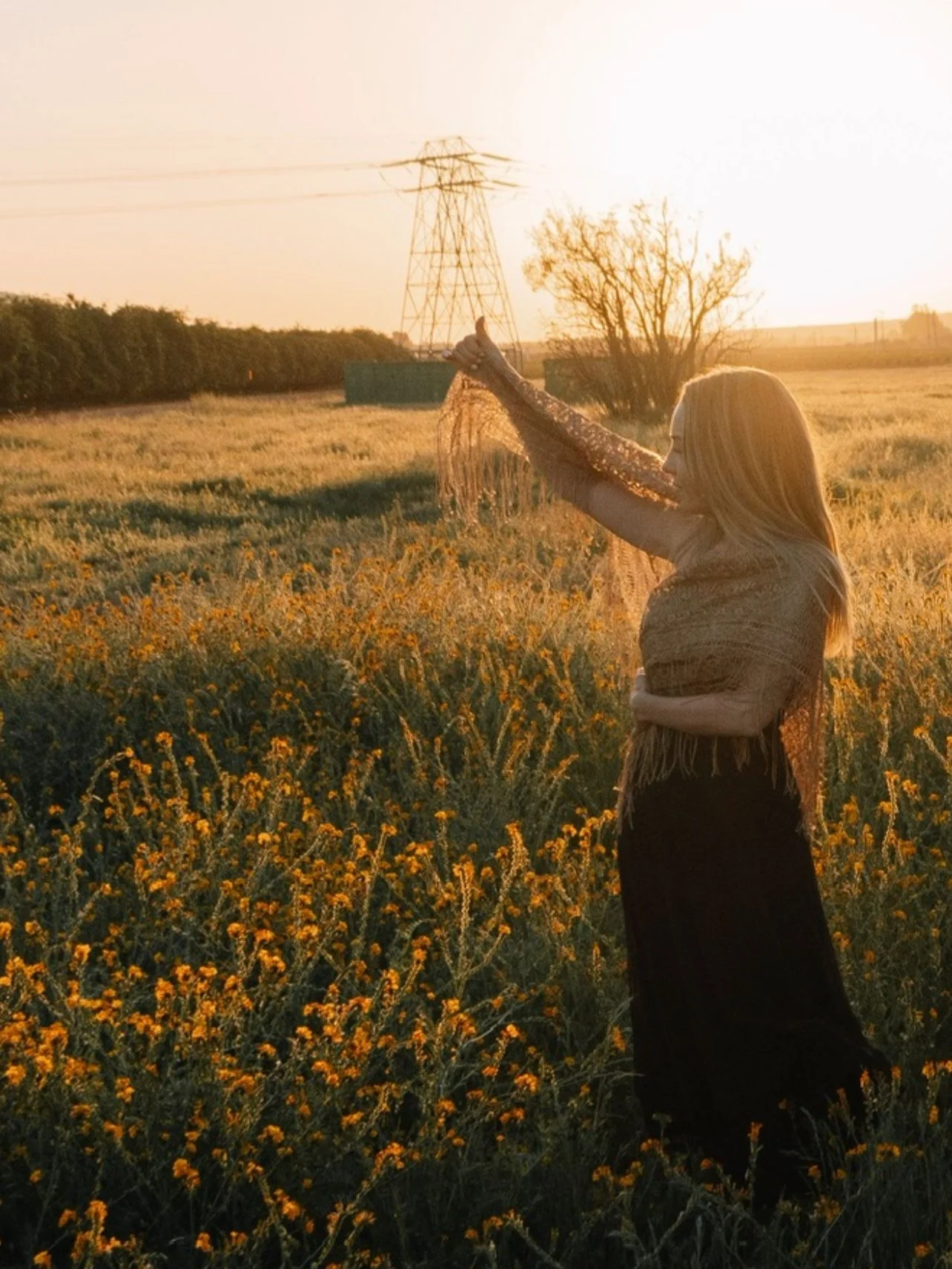 Awaken Your Inner Gold