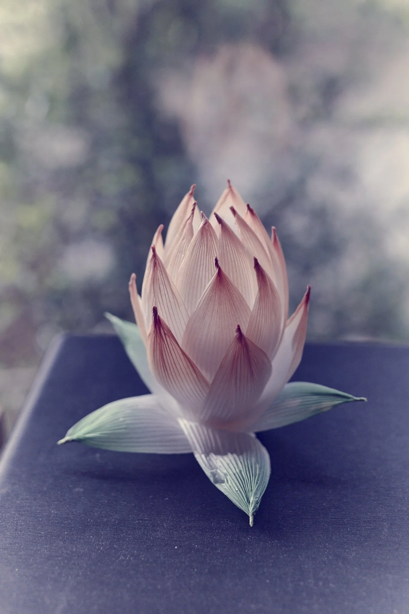 Shaolin Temple Europe, Otterberg, Germany.