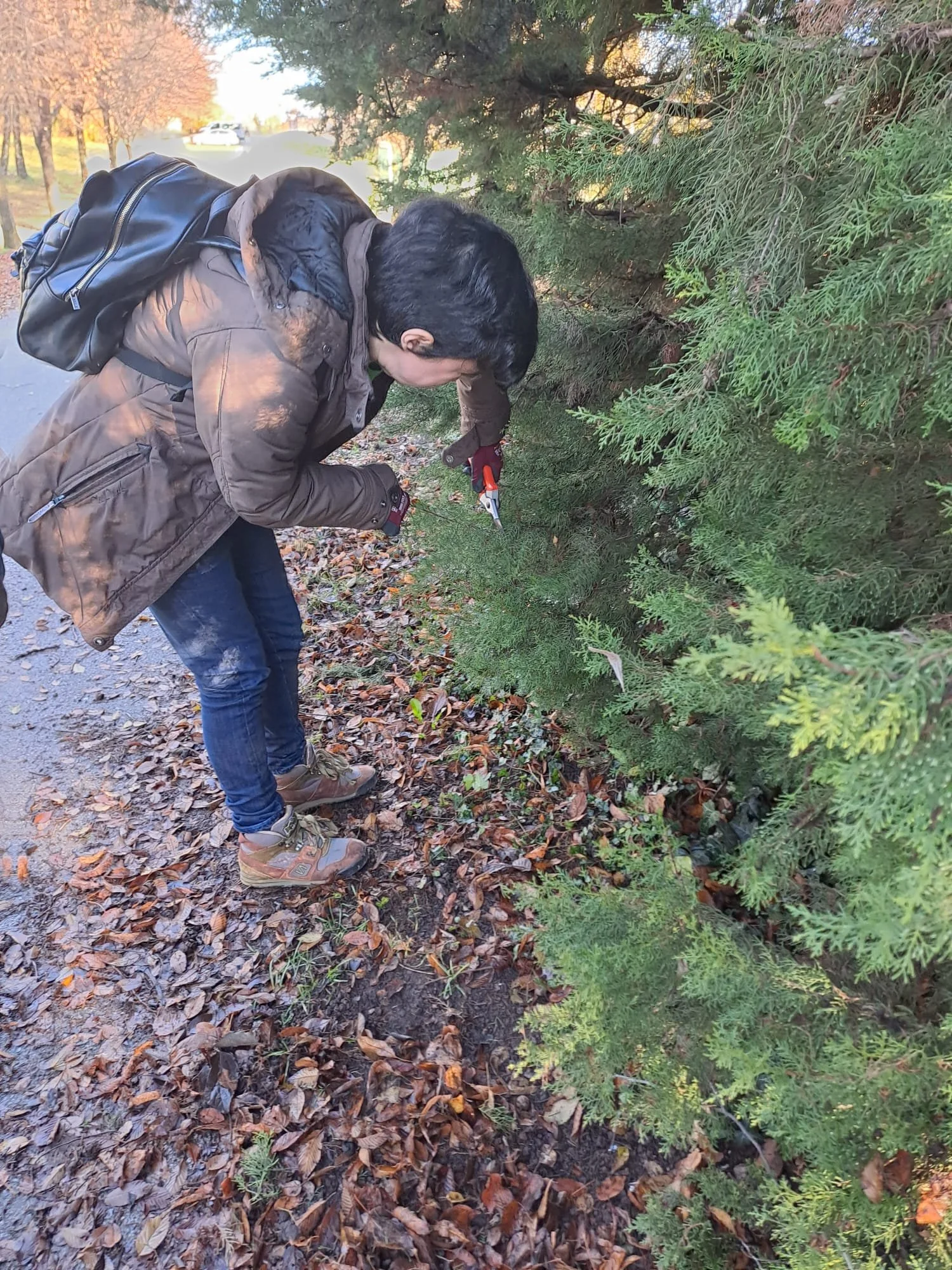 WhatsApp Image 2023-12-14 at 12.54.13.jpeg