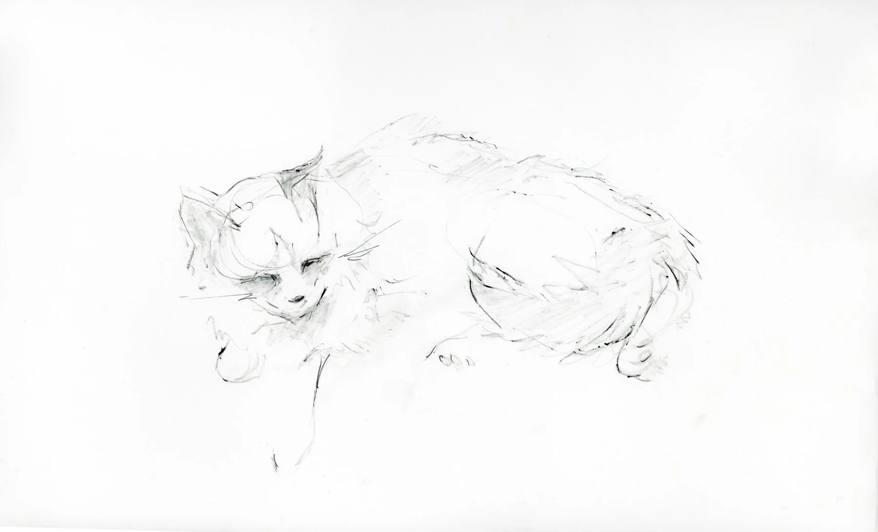 Cozy Kitten by Rose Blixencrone