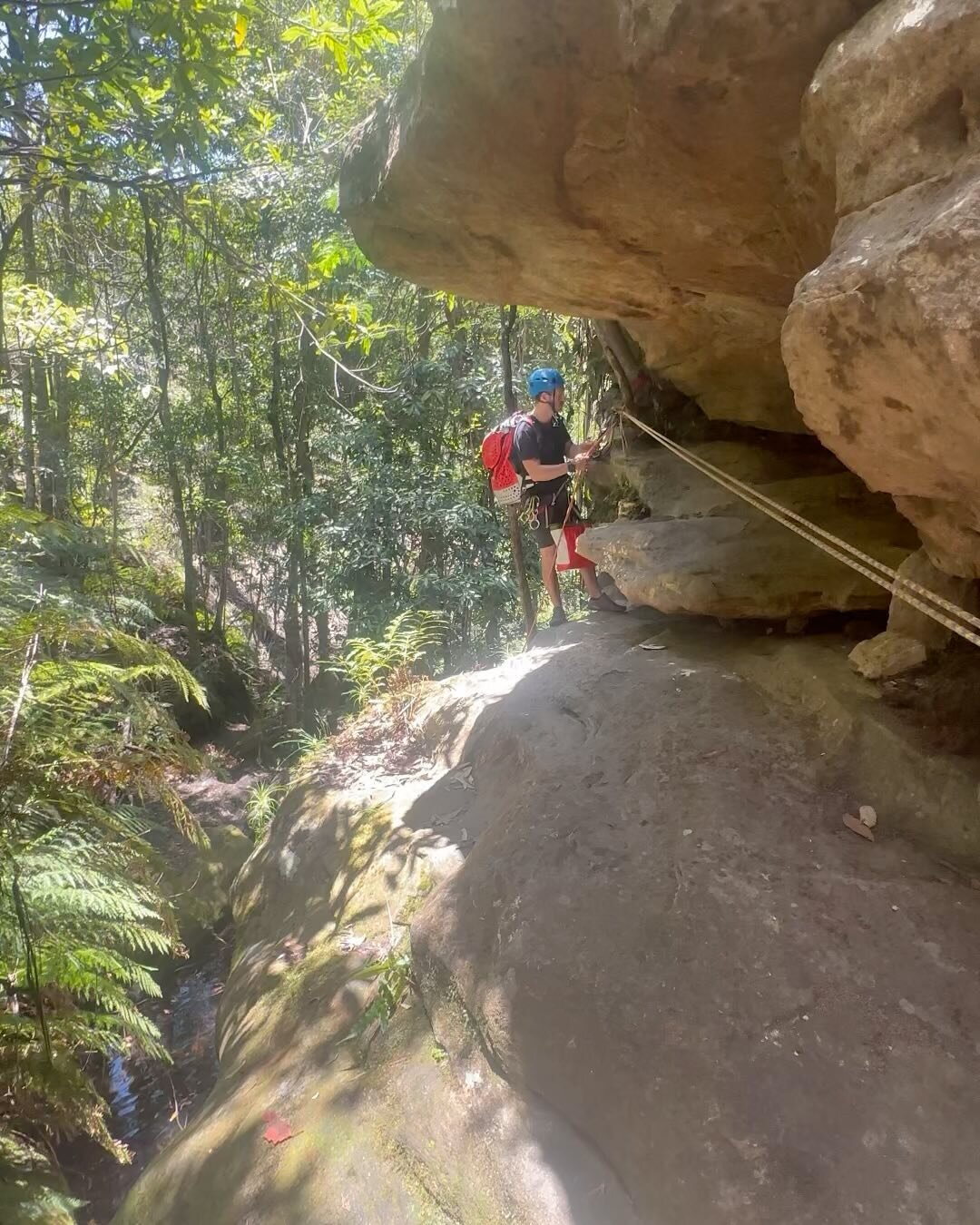 There are lots of anchors for retrievable traverse lines in the Blue Mountains, most of them natural. If there was ever an efficient way to move a party through delicate terrain, this would be it. 

#canyoning #canyonisme #canyoningadventure #canyoni