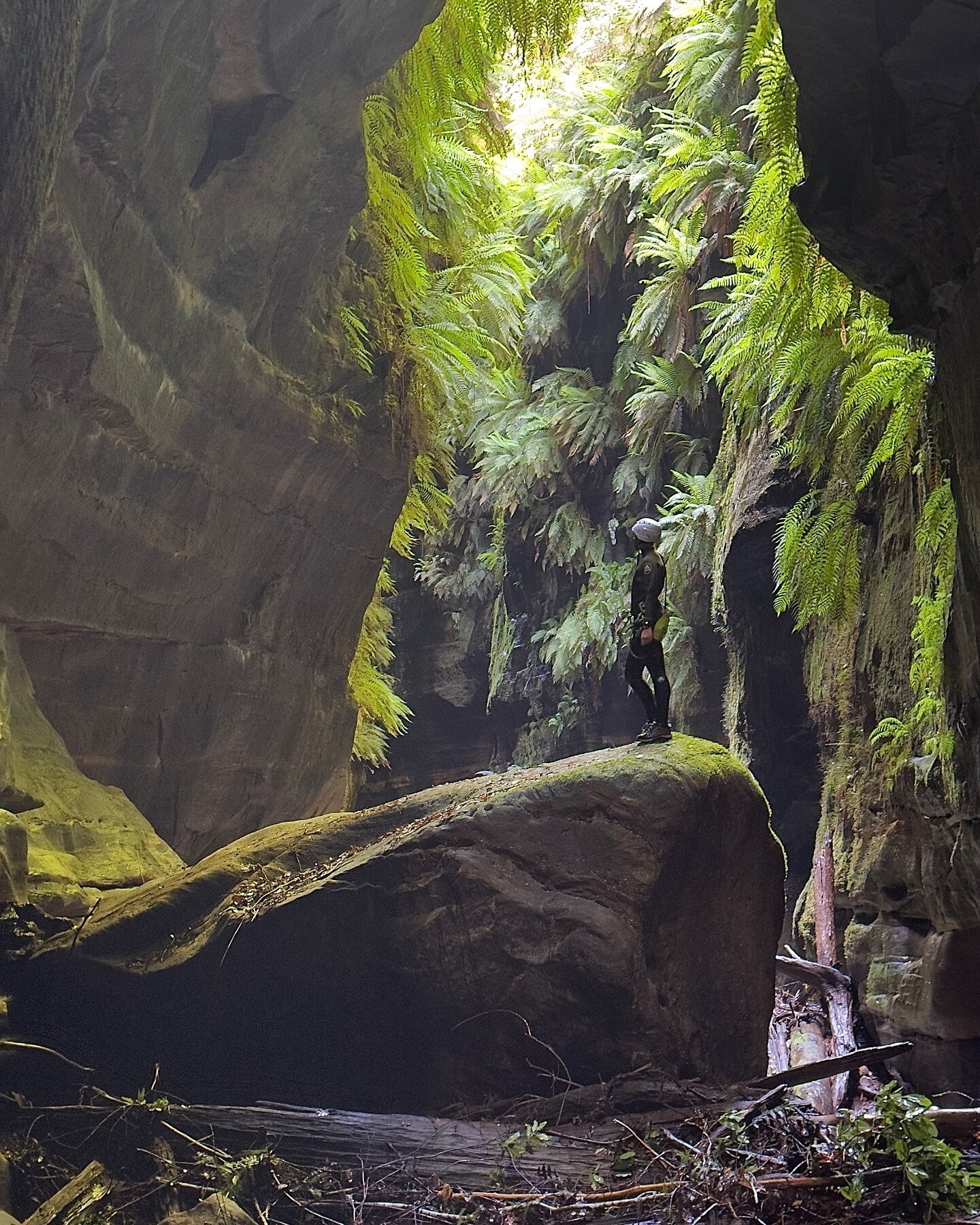 Claustral Canyon, matching colours. Happy New Year everyone. 

#canyoning #canyonisme #canyoningadventure #canyoningtour#canyoningiswhatwedo #canyoningaustralia #canyoningphotography #roamguides #canyonguide #canyoneering #roamguides #roamadventures 