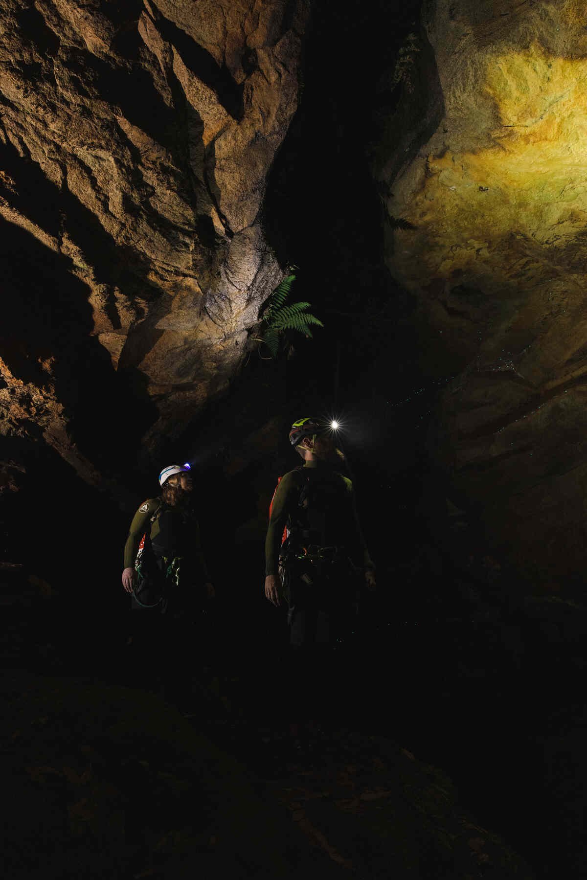 roam-glowworm-canyoning-2-cc.jpg