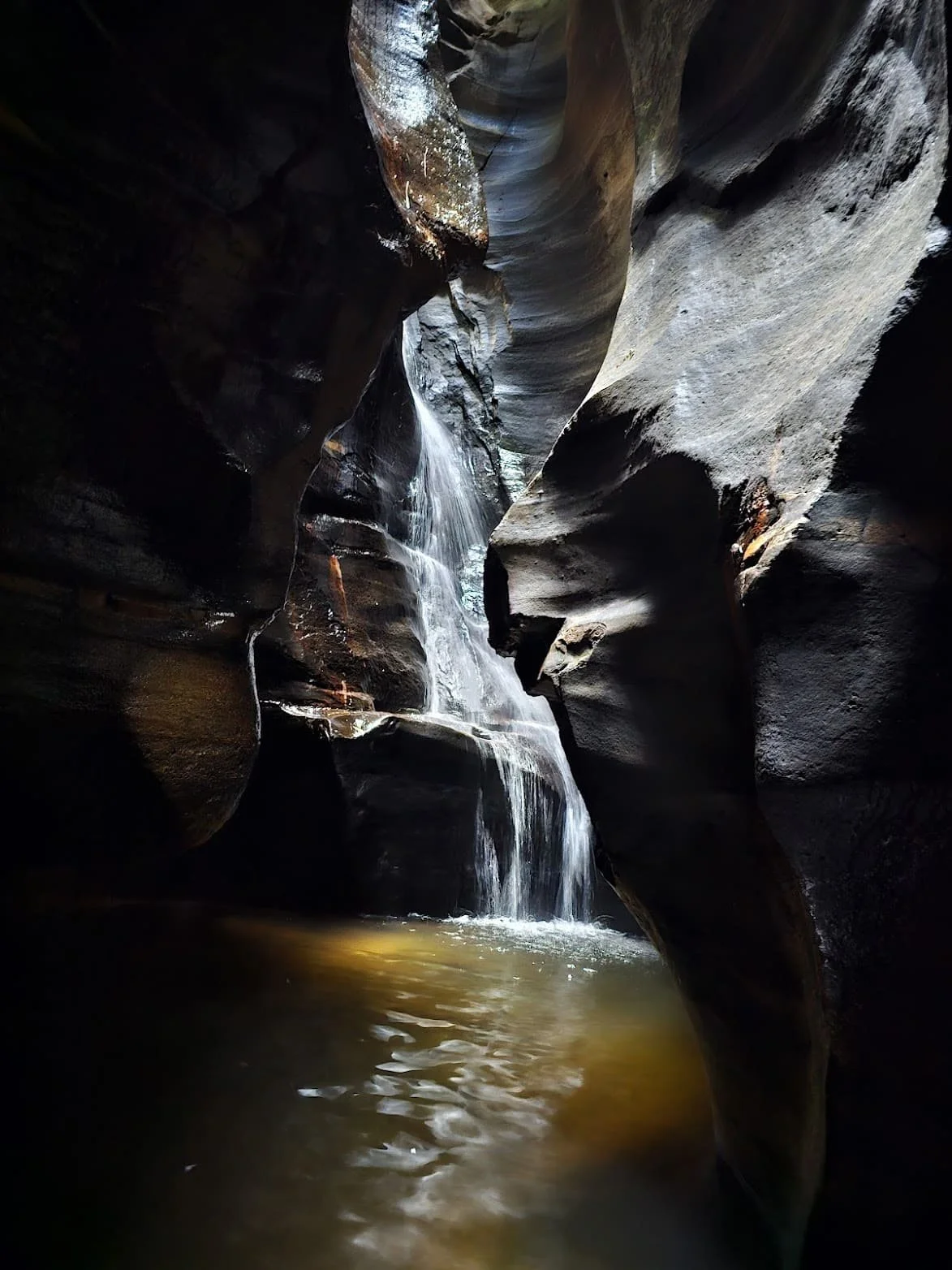 roam-adventures-blue-mountains-guided-canyon-tour-9.jpg