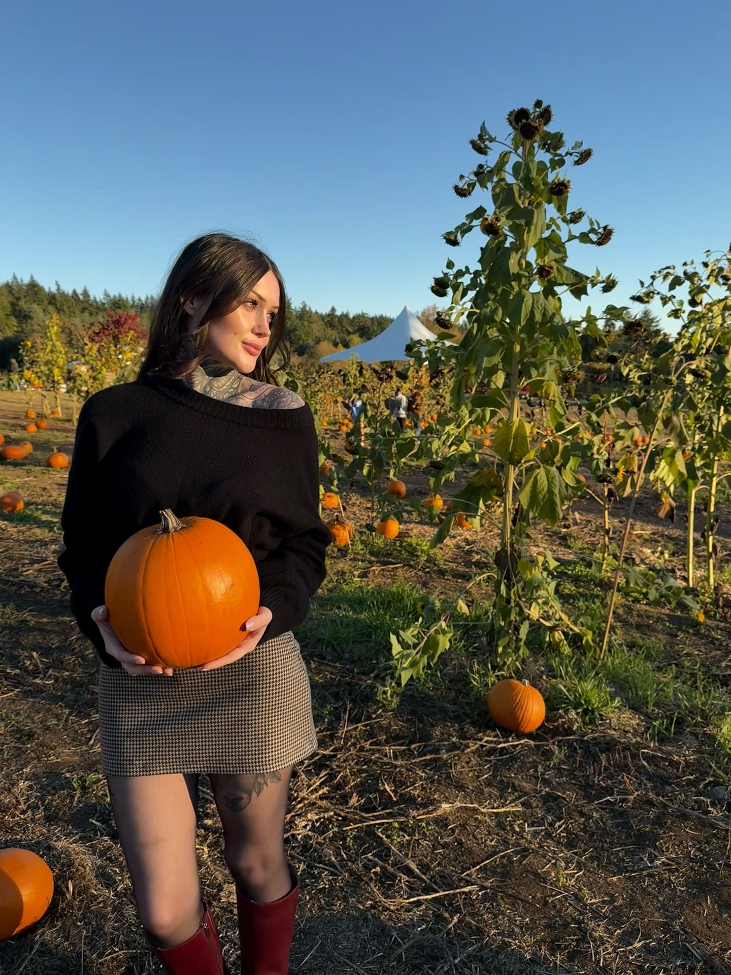 Too many pumpkin photos? Never🎃