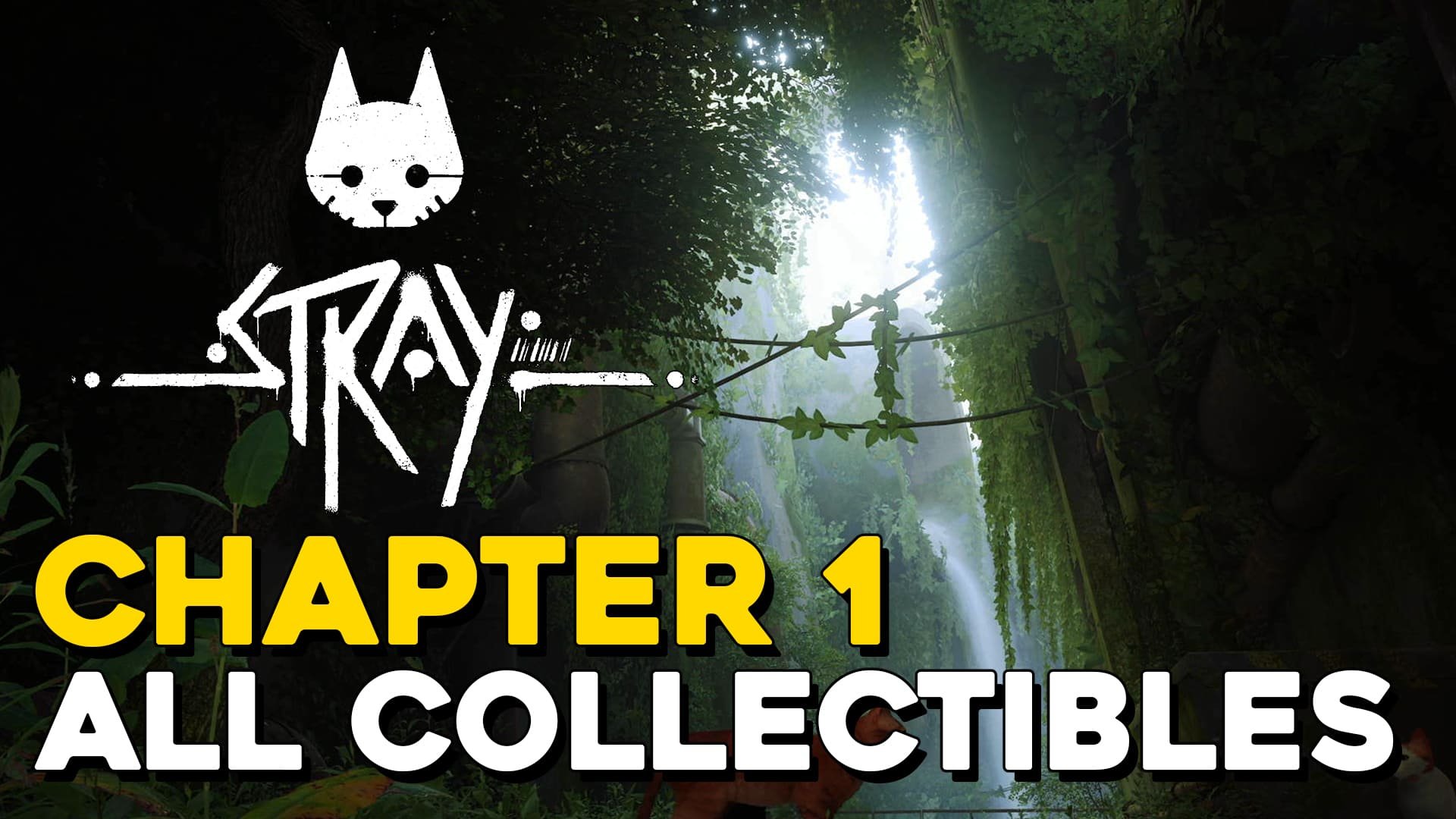 stray chapter 1