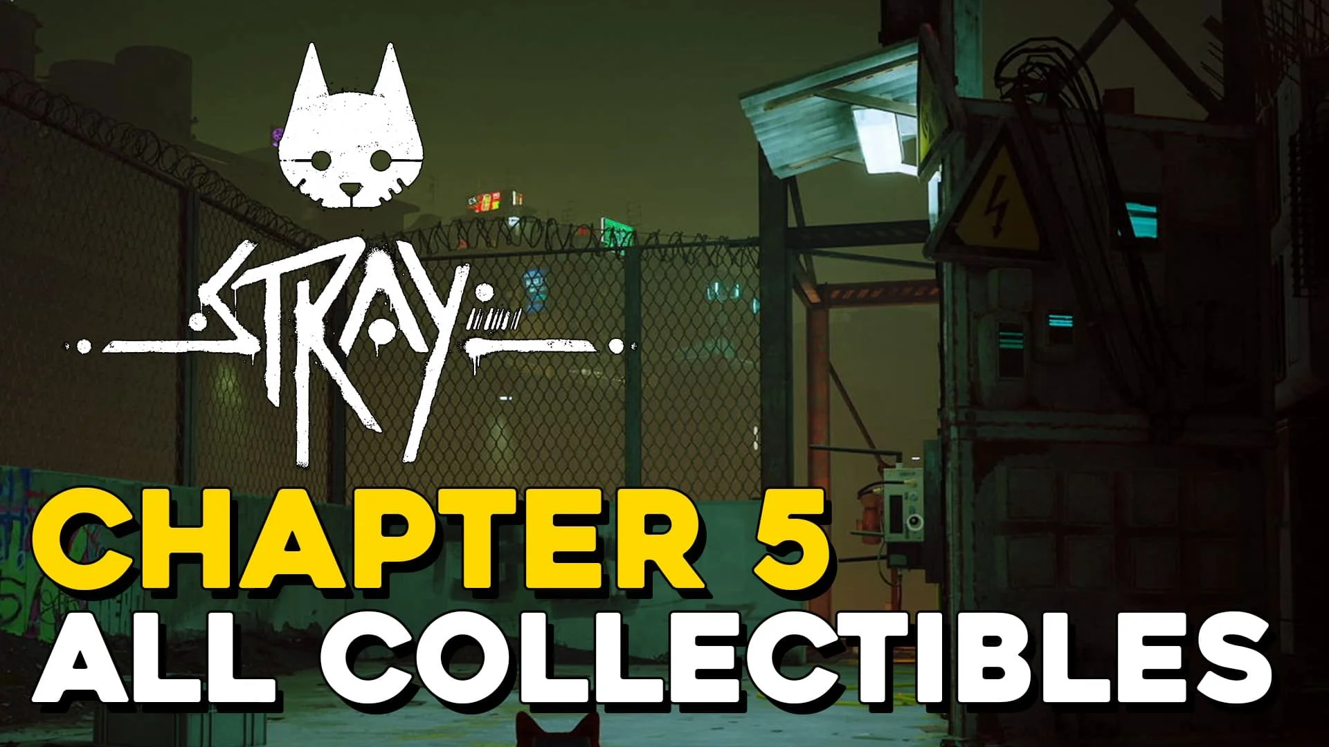 stray chapter 5
