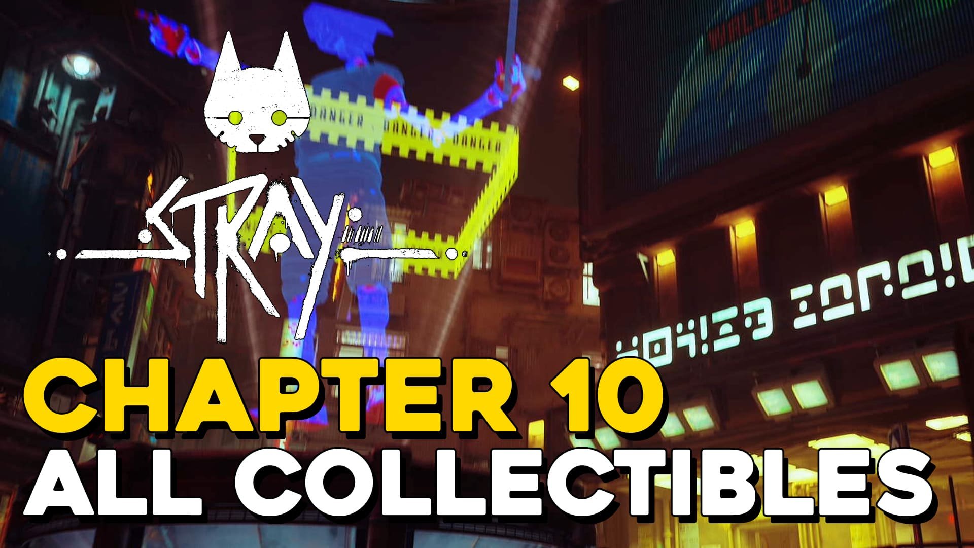 chapter 10 stray (copia)