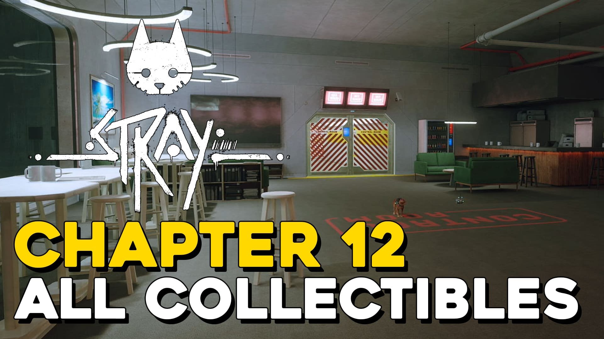 chapter 12 stray
