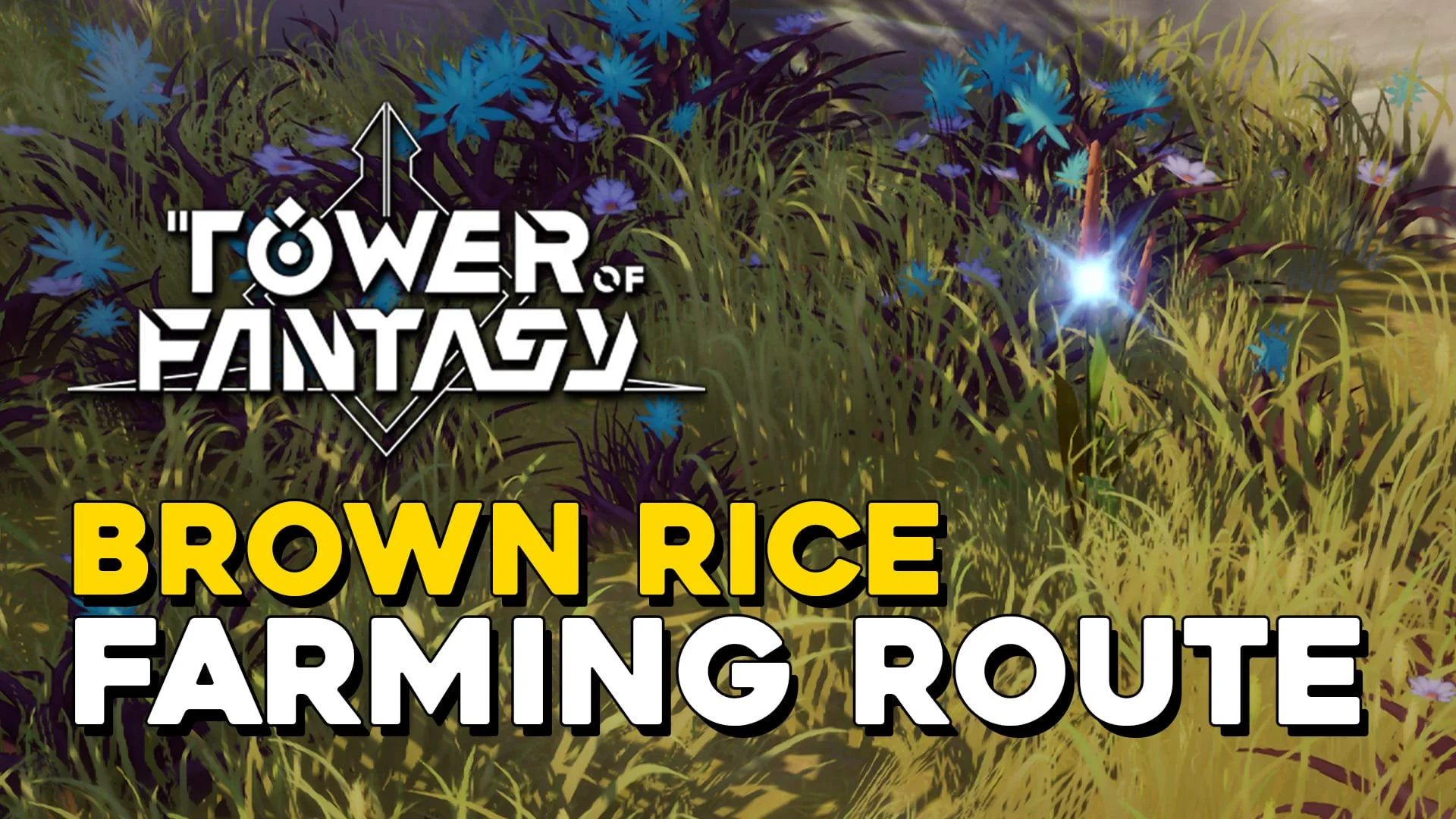 Tower Of Fantasy Brown Rice Farming Route (Brown Rice Locations).jpg