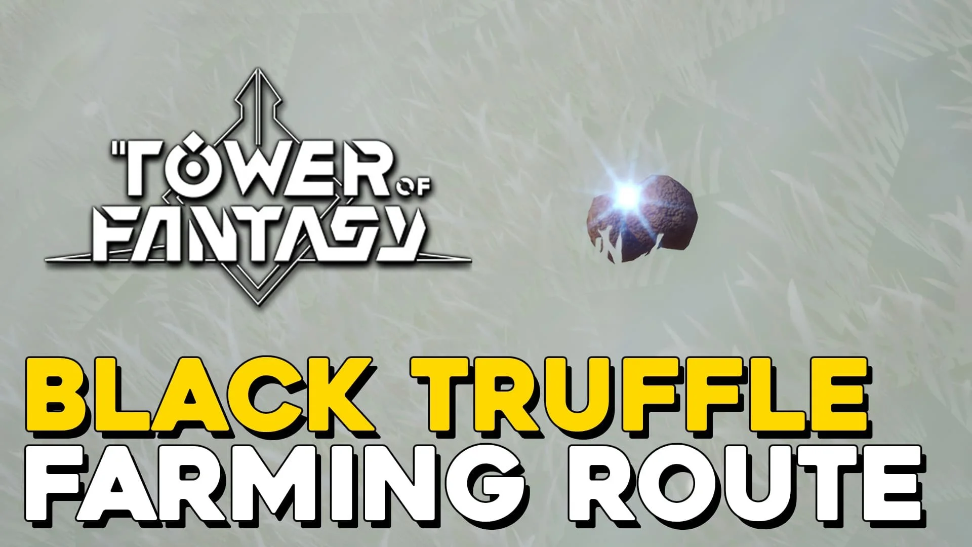 Tower Of Fantasy Black Truffle Farming Route (Black Truffle Locations).jpg