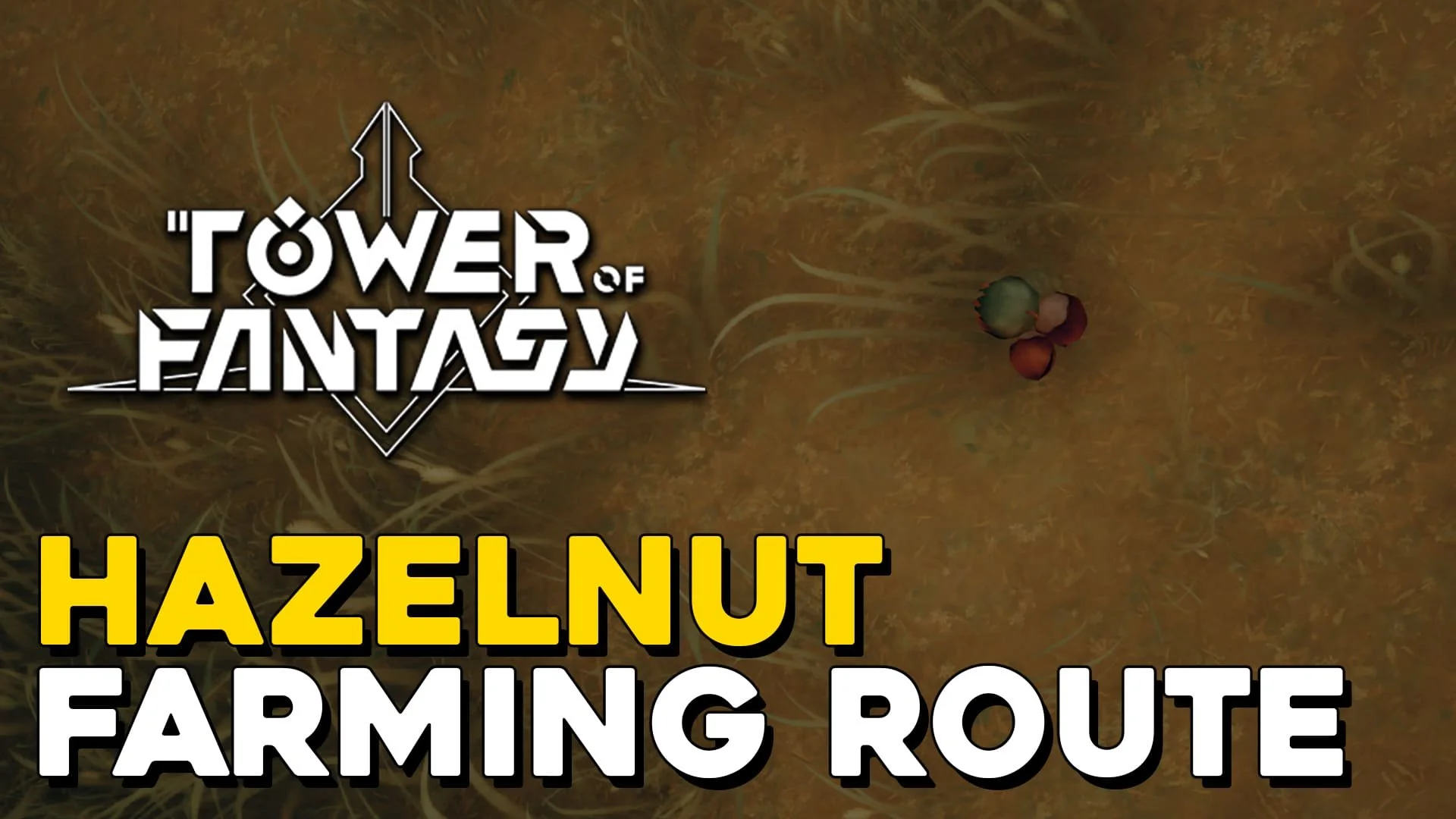 Tower Of Fantasy Hazelnut Farming Route (Hazelnut Locations).jpg
